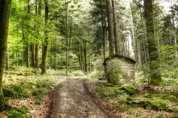 Eine ausgetretene Straße in der malerischen Natur