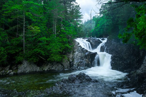 Waterfall. Nature. Mountain river