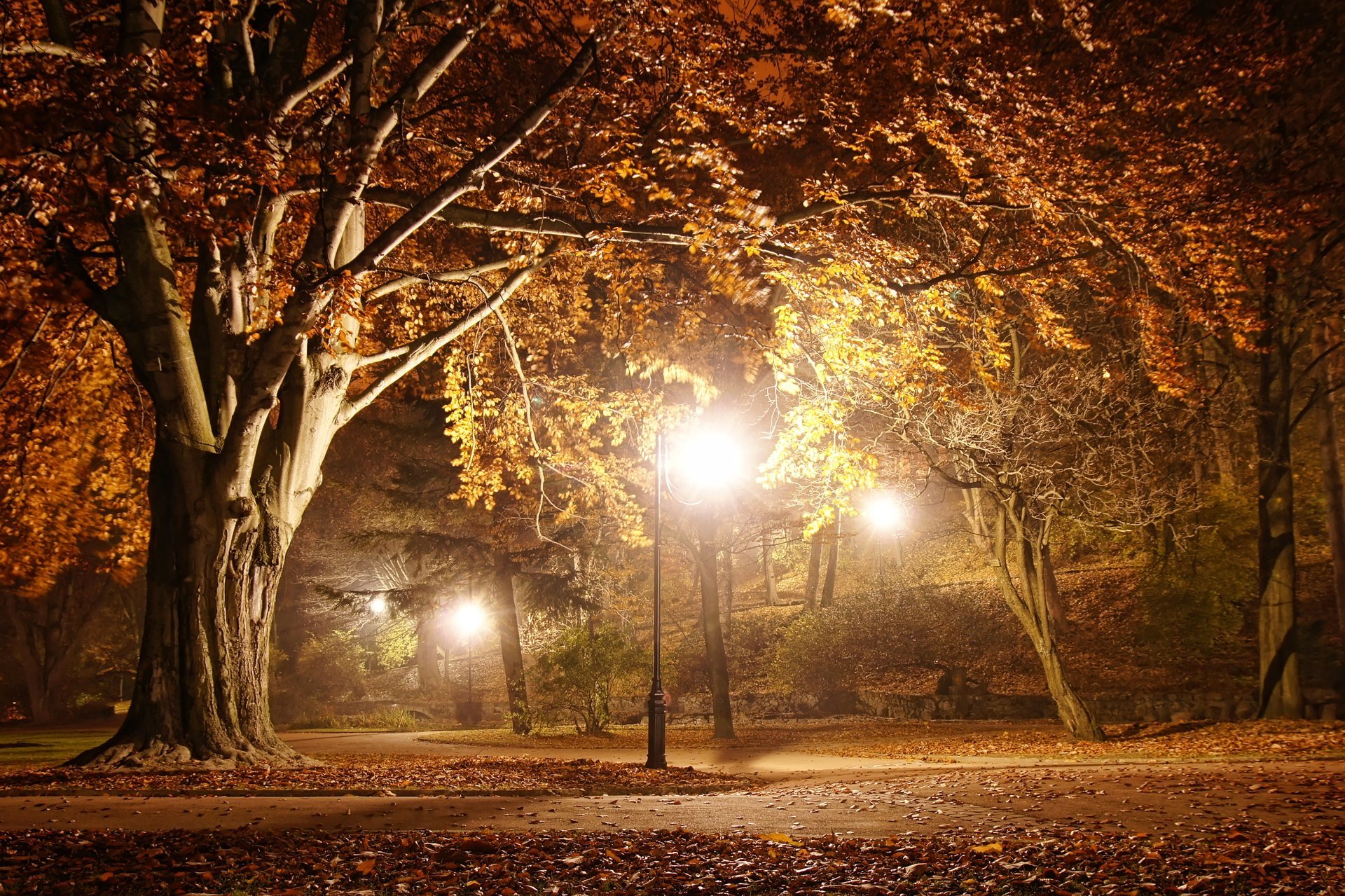 romantischer abend herbstbäume straße park natur schöne szene landschaft straße laternenmast lampen nacht mitternacht laternen laterne voll