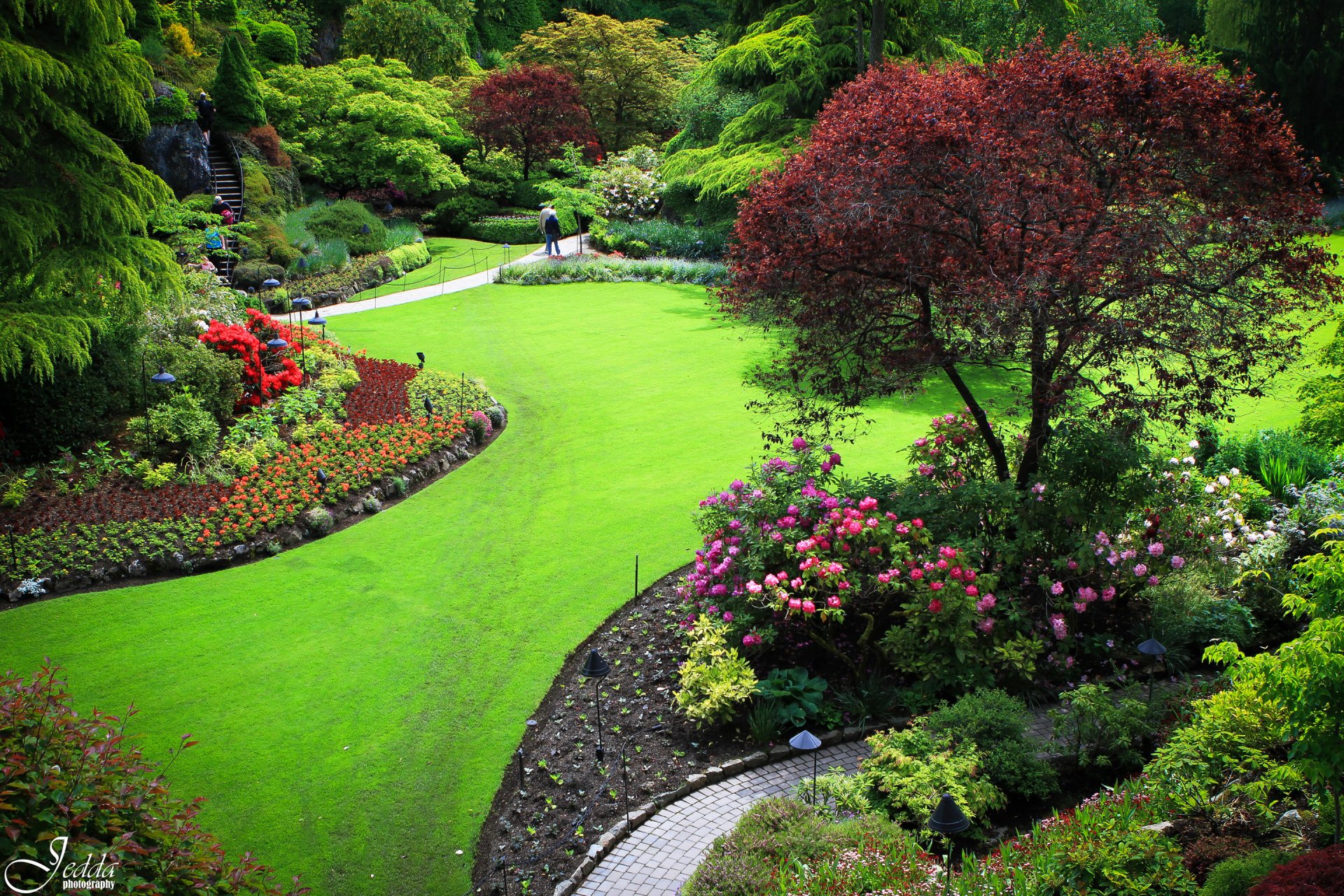 butchart canada giardino parco alberi erba prato fiori persone