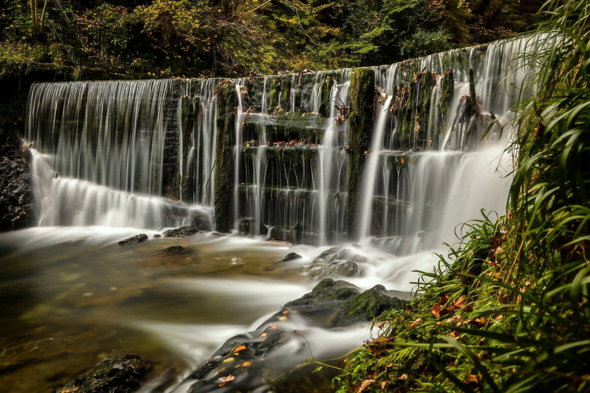 foto ghyll falls lake district ambleside inglaterra distrito del lago distrito de los lagos cascada cascada bosque