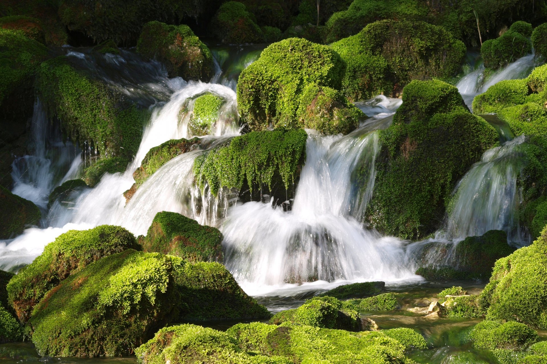 piedras musgo corriente cascada