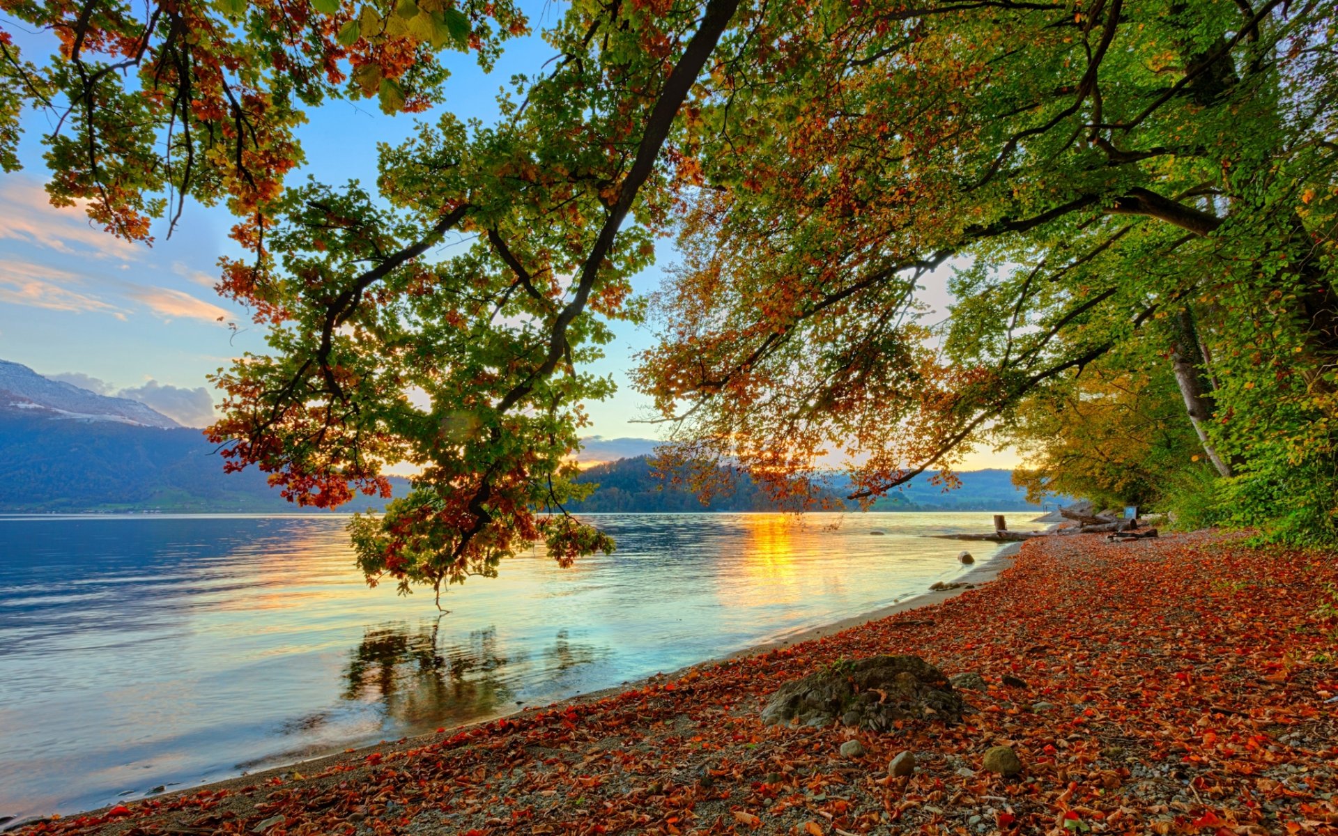 nature automne côte côte feuilles mortes arbres branches pente rivière eau excitation reflets réflexion montagnes ciel lueur soleil aube