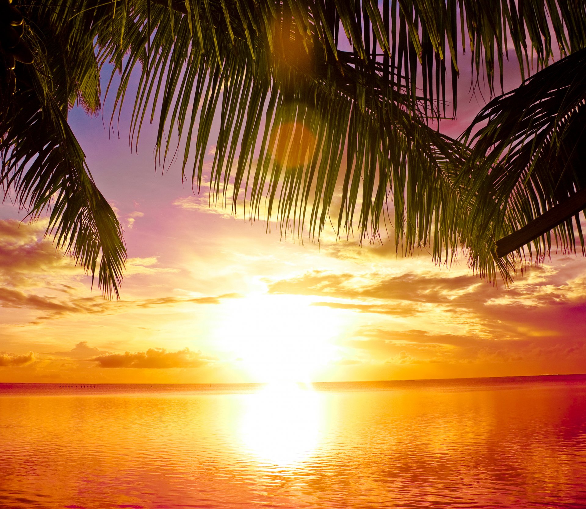 tropisch paradies strand palmen meer sonnenuntergang tropen sonne