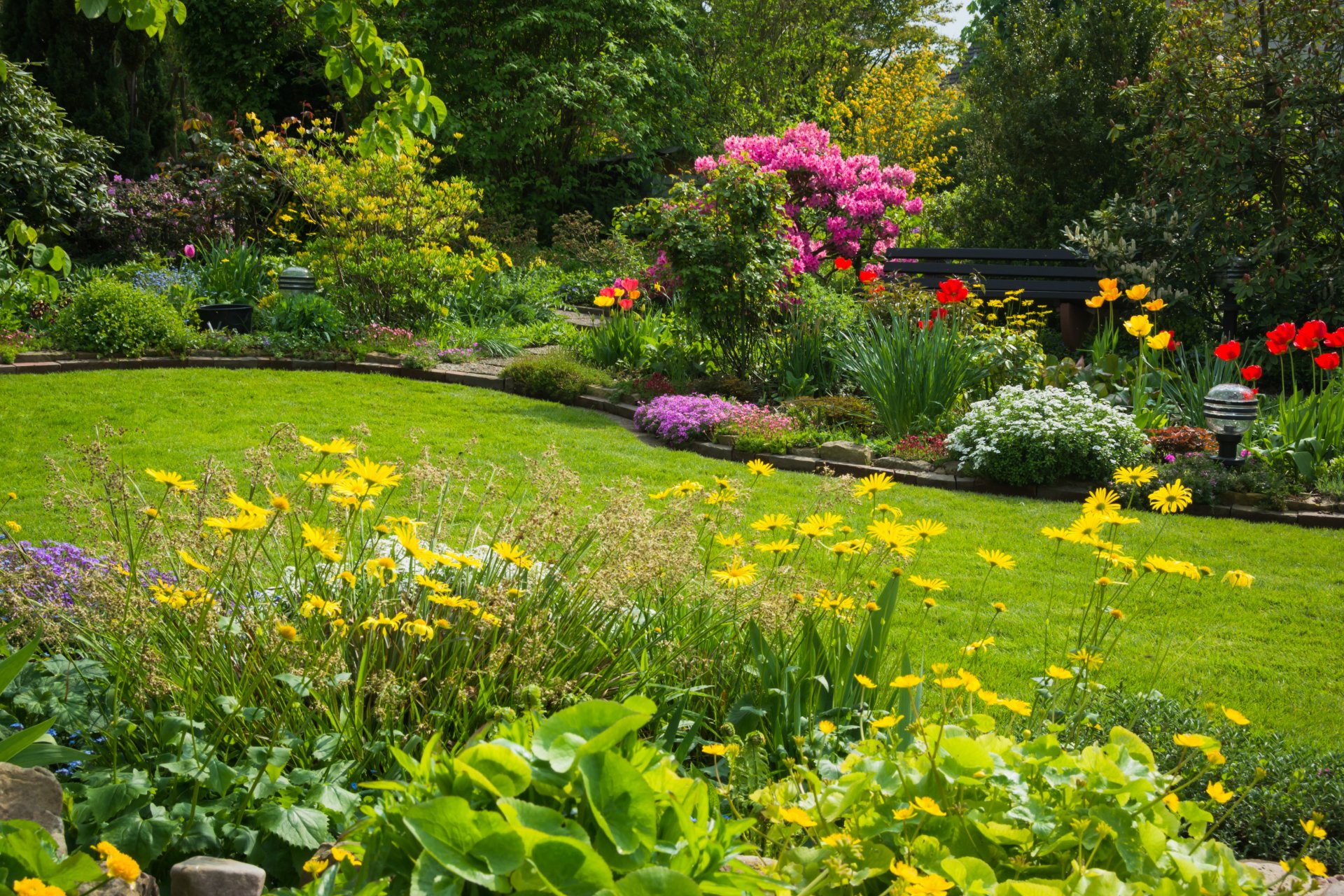 nature bed flower landscape