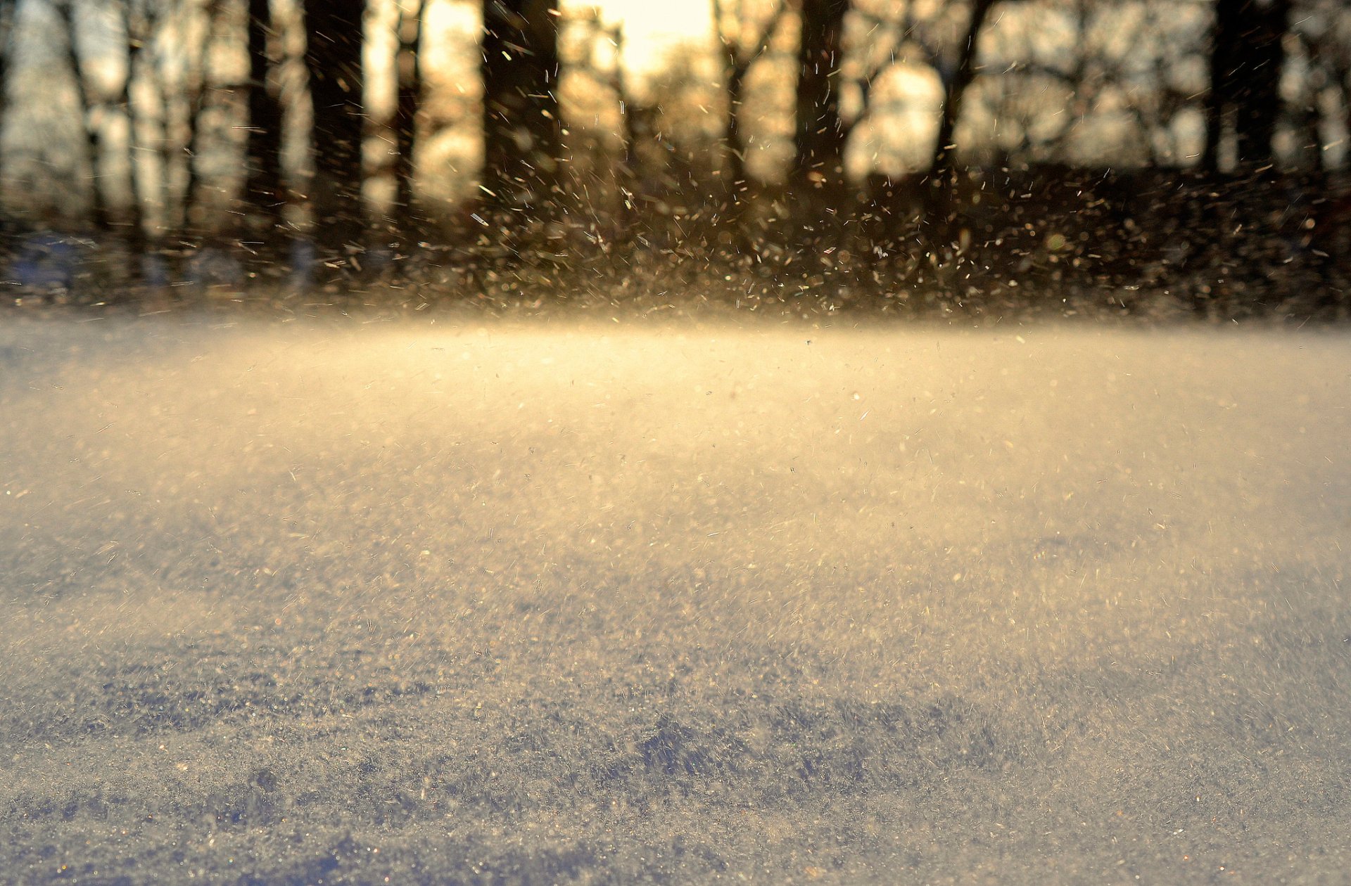 neve selvaggia neve fiocchi di neve inverno movimento