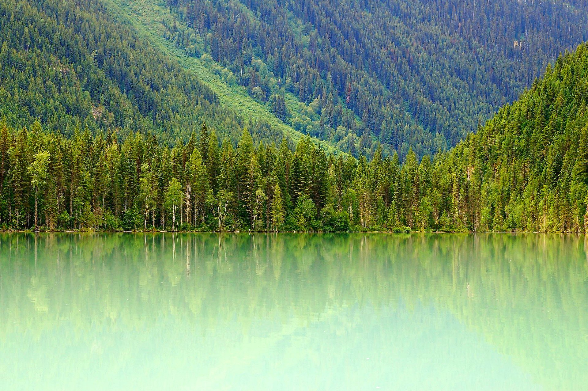 lago kinney monte robson canadá pendiente montañas lago bosque