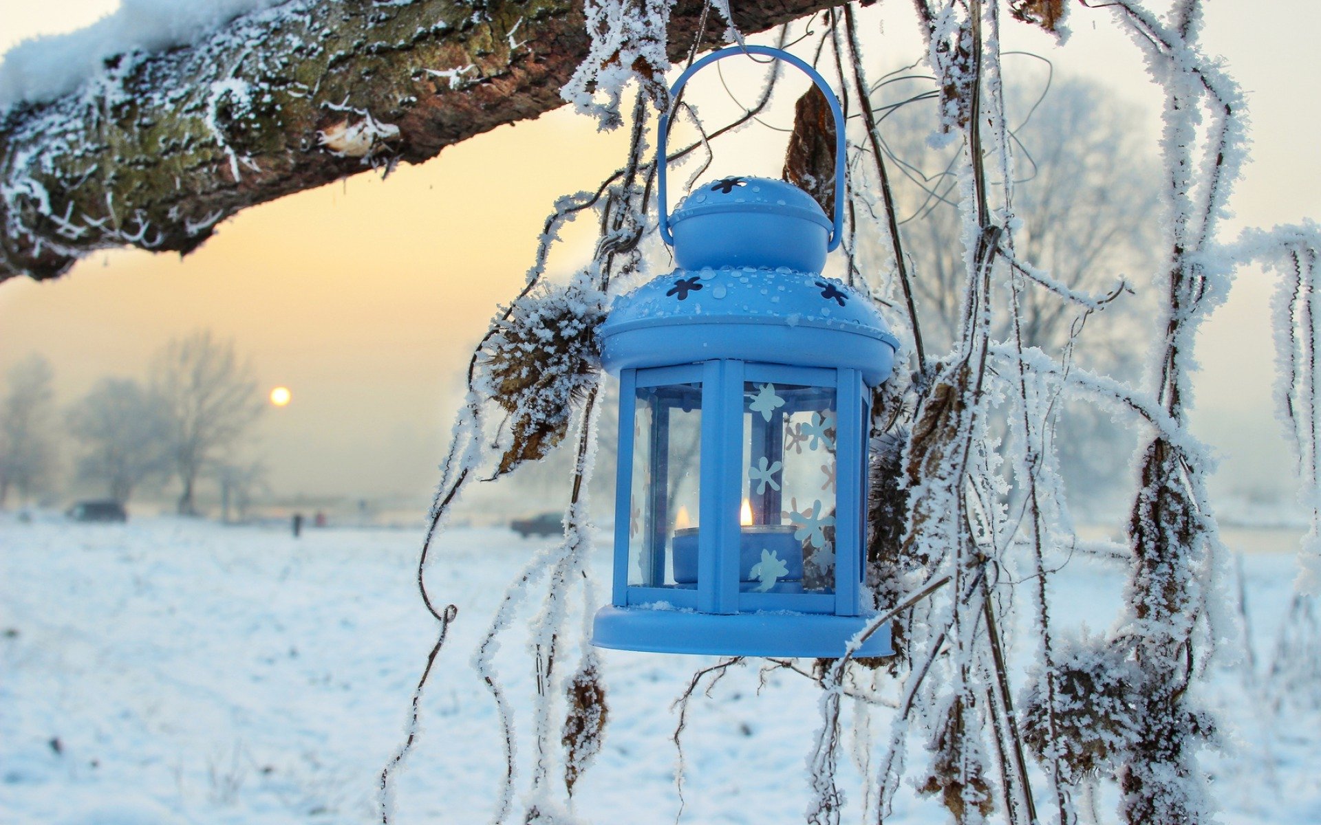 naturaleza invierno nieve linterna árboles