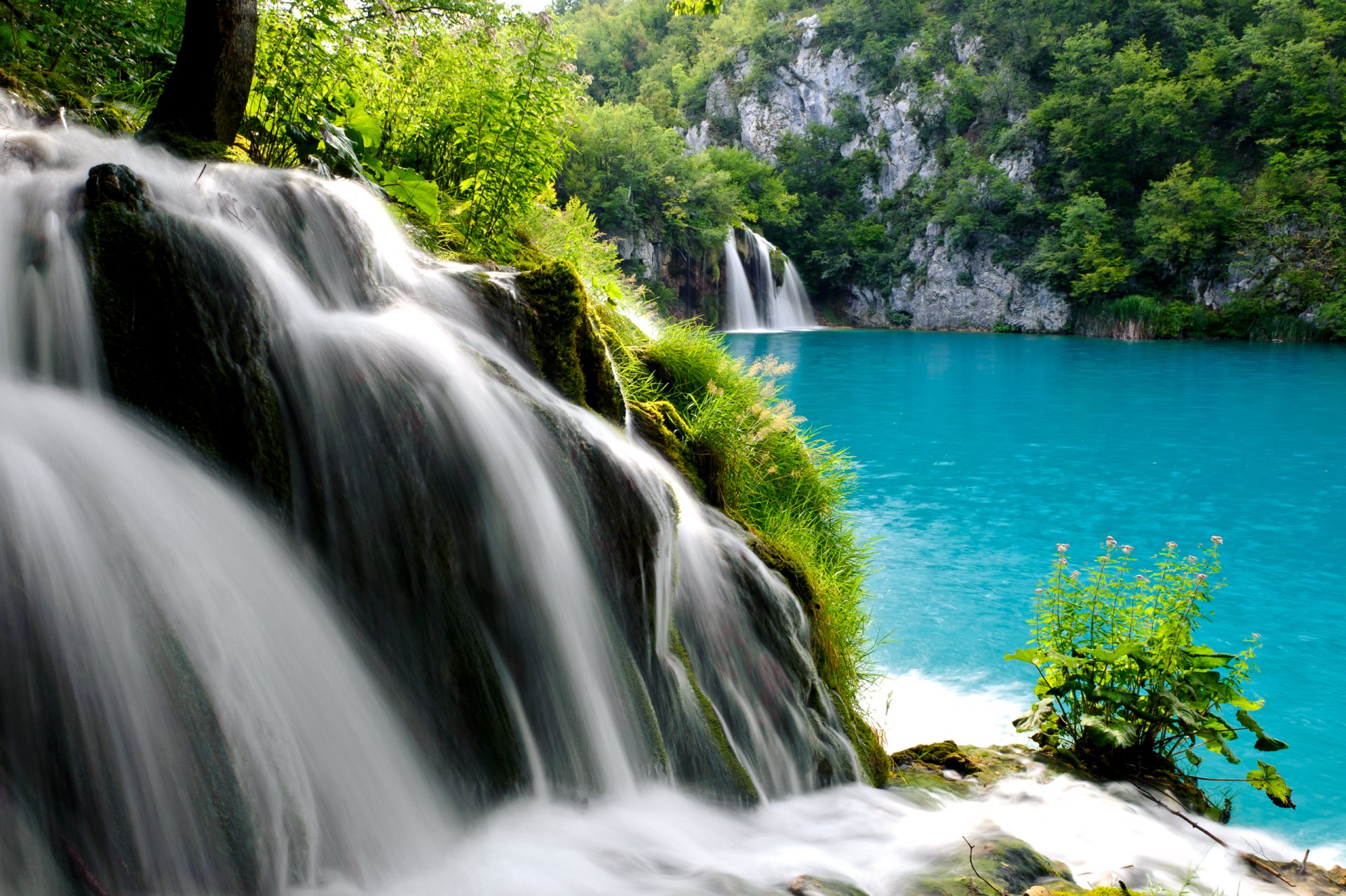 bosque árboles lago corriente cascada