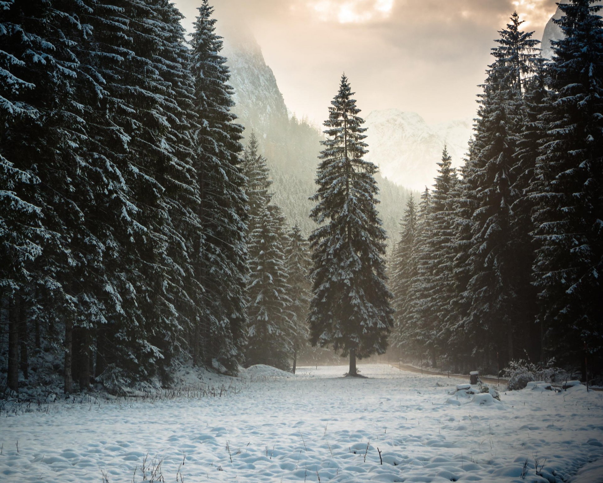 natur österreich tirol berge alpen wald schnee winter