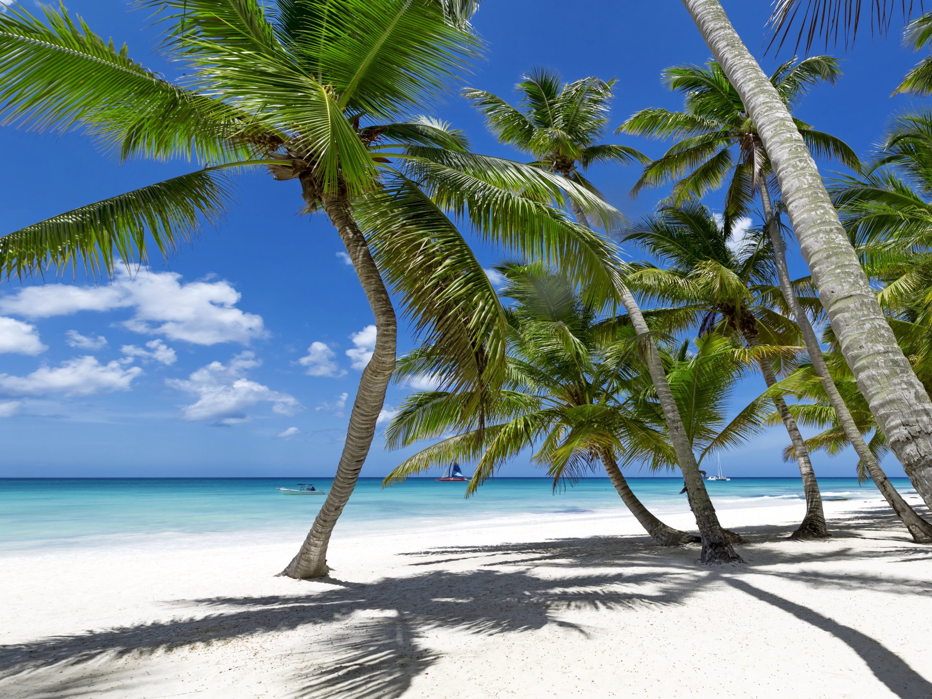 tropical paradise beach palms sea ocean sunshine summer vacation palm tropics sand