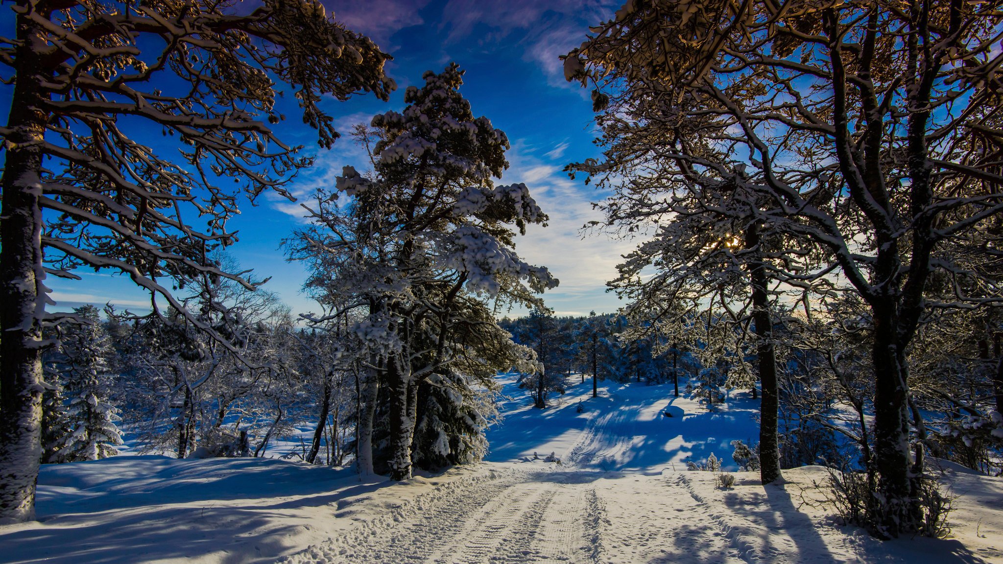 winter wonder land norway winter sun