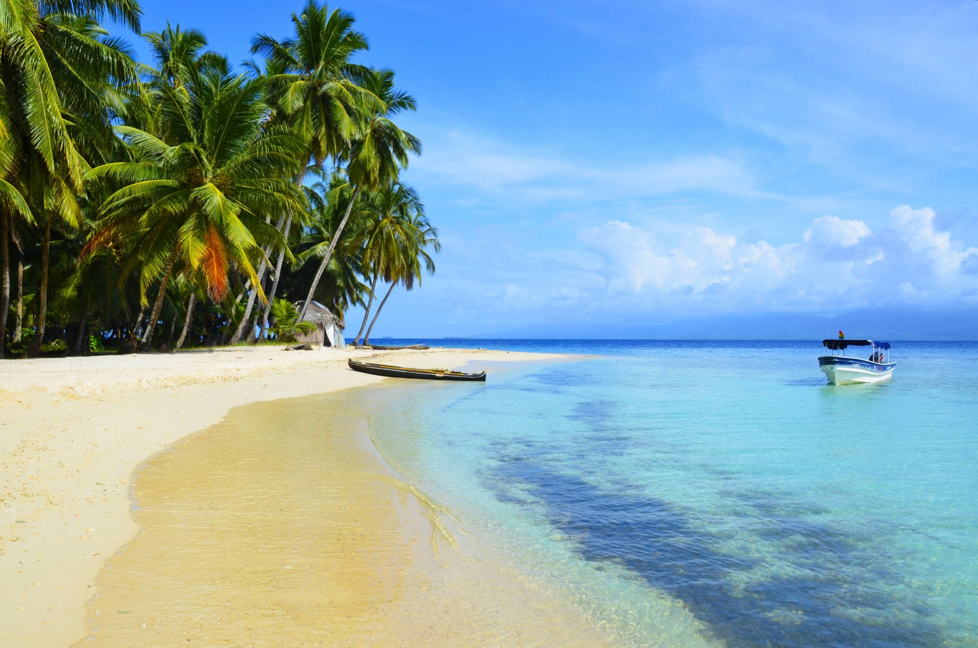 tropiki morze plaża łodzie palmy