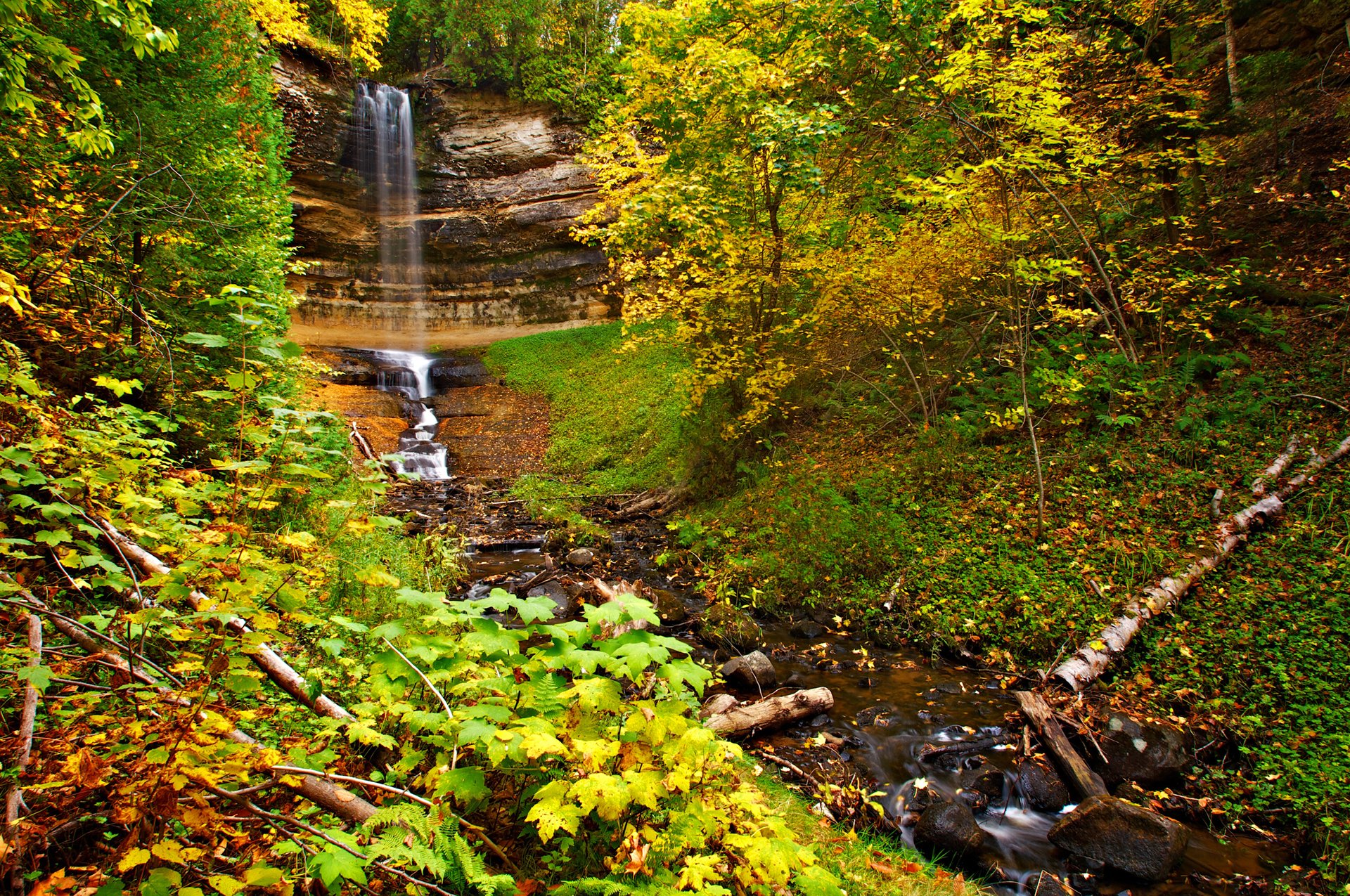 forêt arbres automne feuilles rocher cascade ruisseau