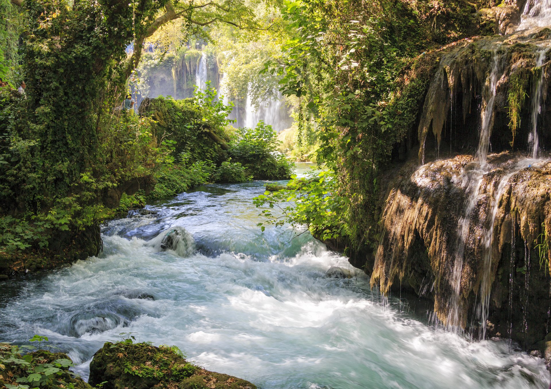 bosque río corriente piedras árboles cascada