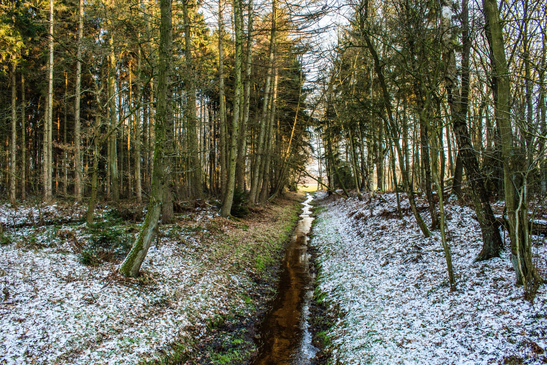 wald frühling bach klein