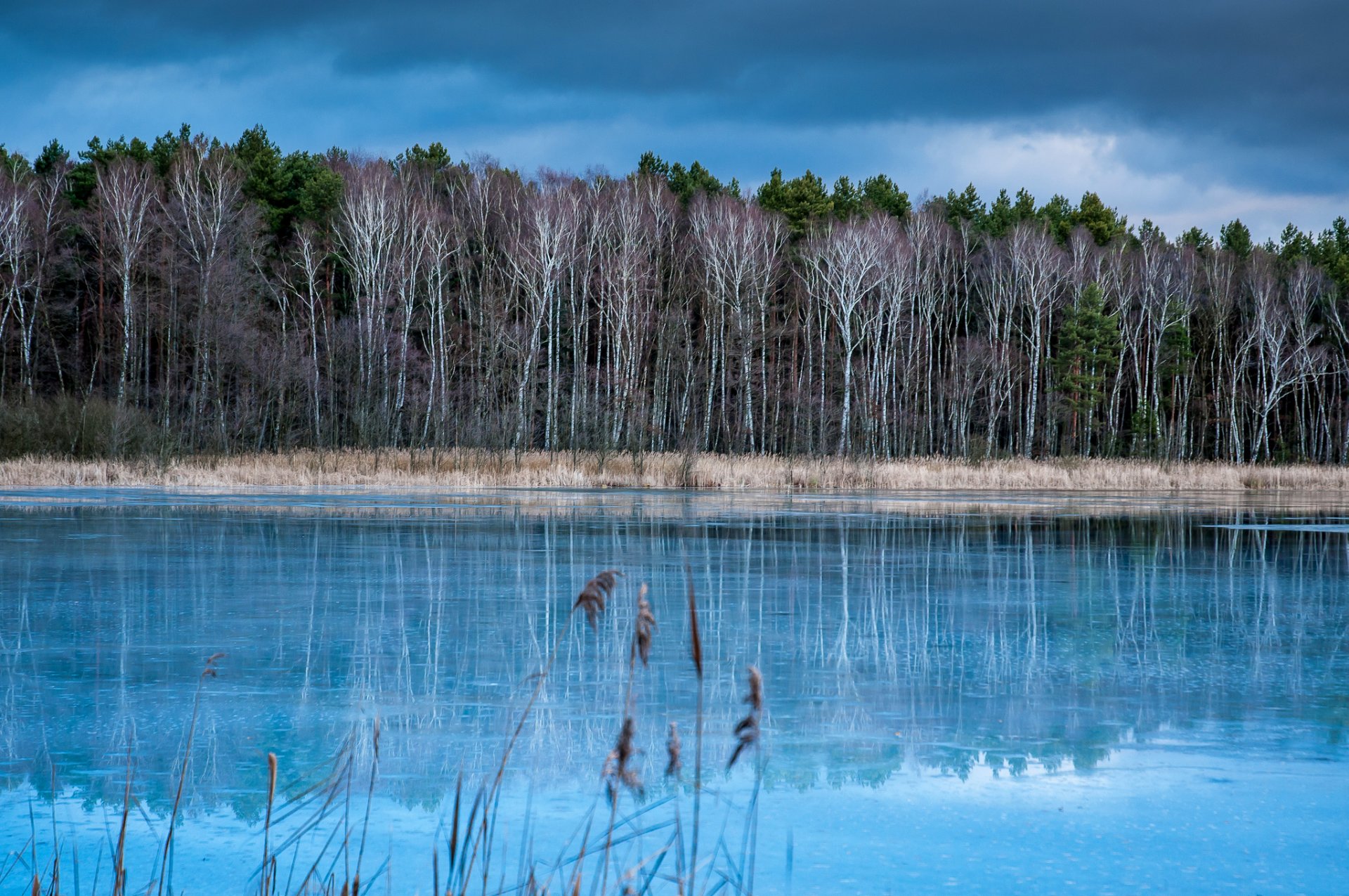 groß köris brandeburgo alemania cielo bosque río árboles otoño