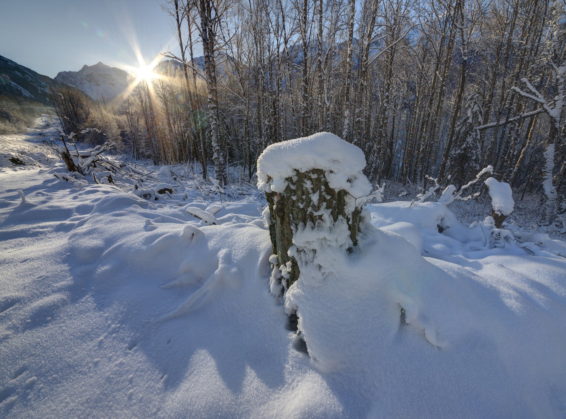 montañas día invierno nieve árboles tocón de árbol cielo sol