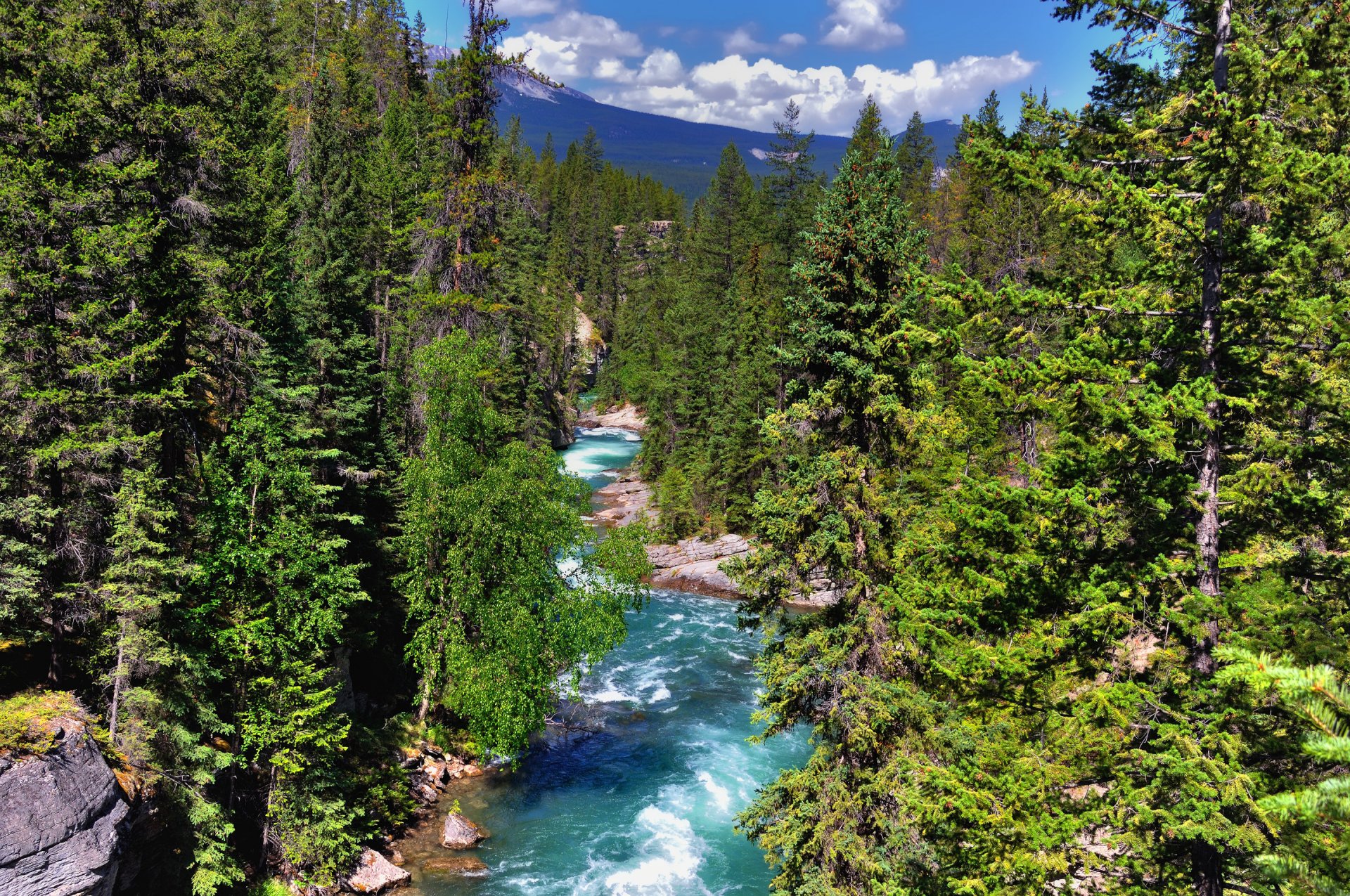 park narodowy jasper alberta kanada góry las drzewa rzeka niebo chmury