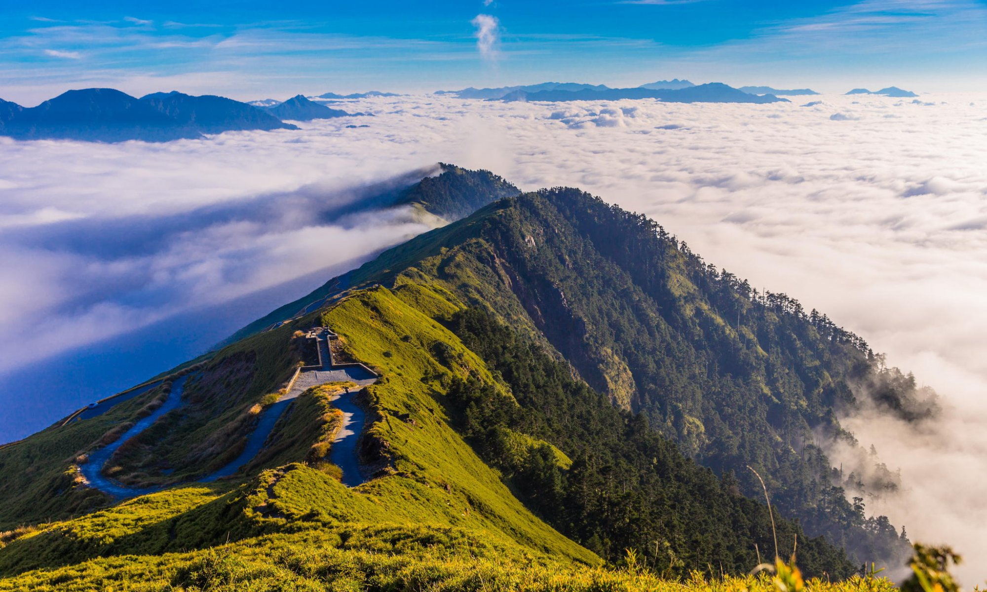 mountain forest morning clouds panorama nature