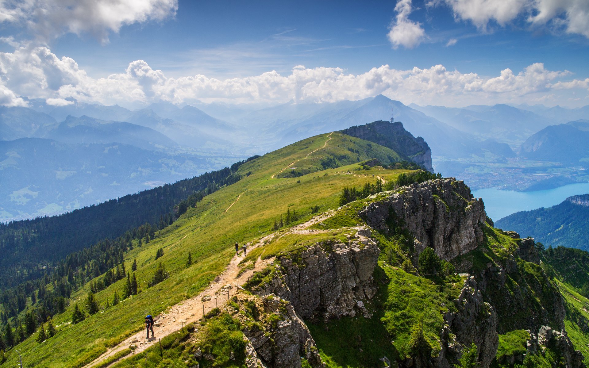 bernese alps lake thun mountain nature summer lake