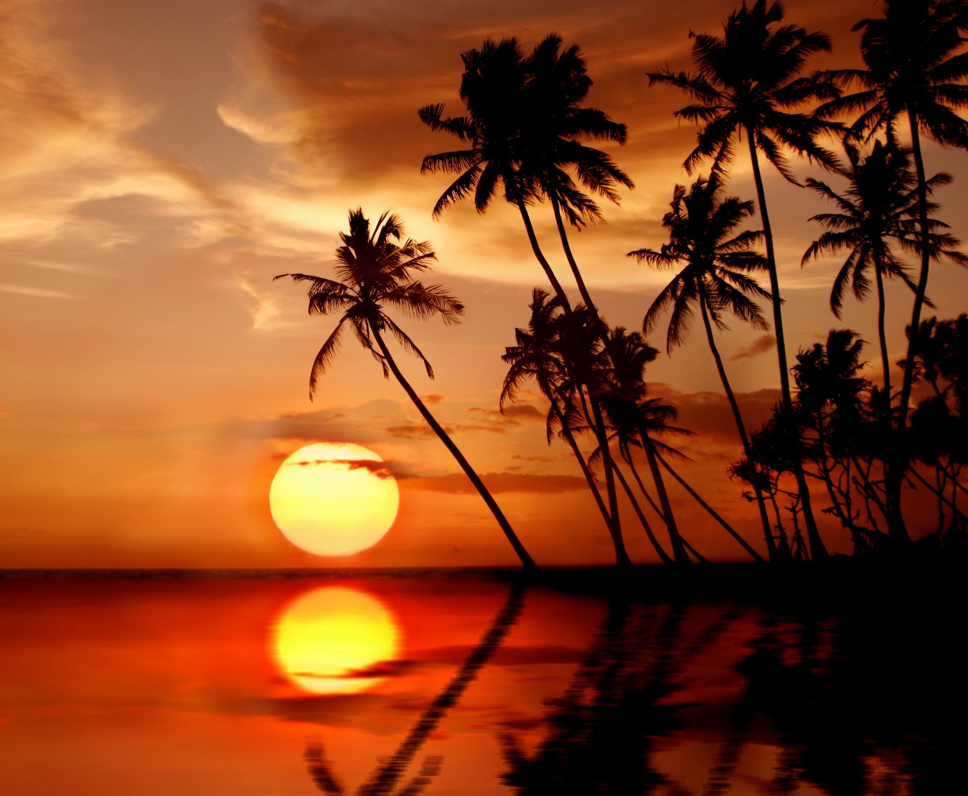 tropisch paradies strand palmen meer sonnenuntergang tropen sonne