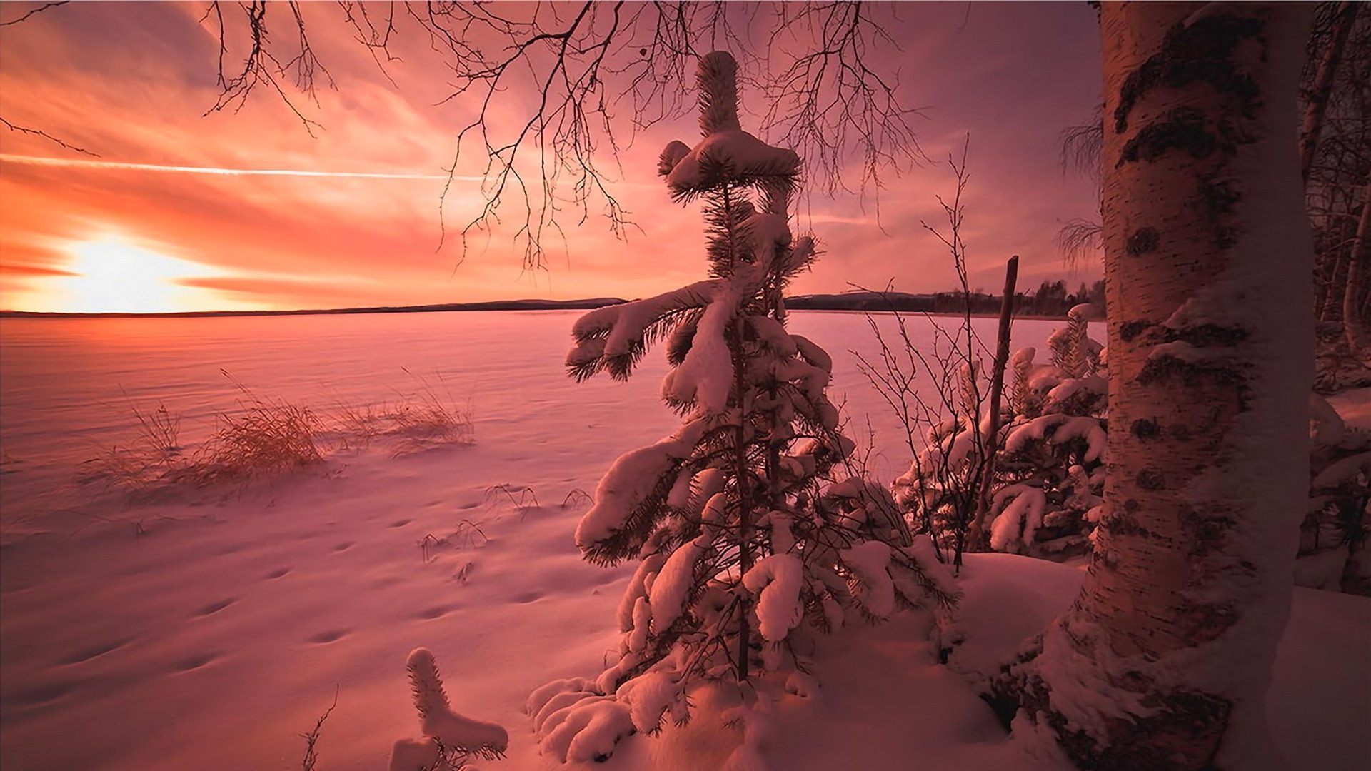 cielo nubes puesta de sol invierno árbol nieve