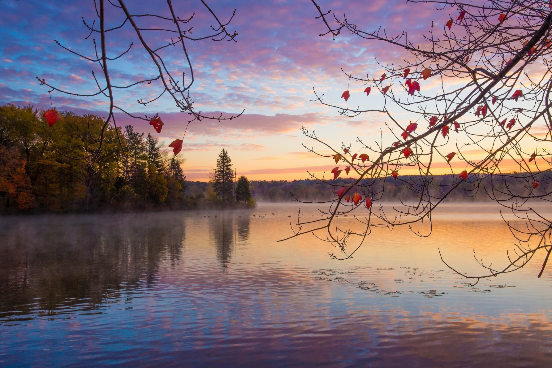 autumn forest lake morning sunrise