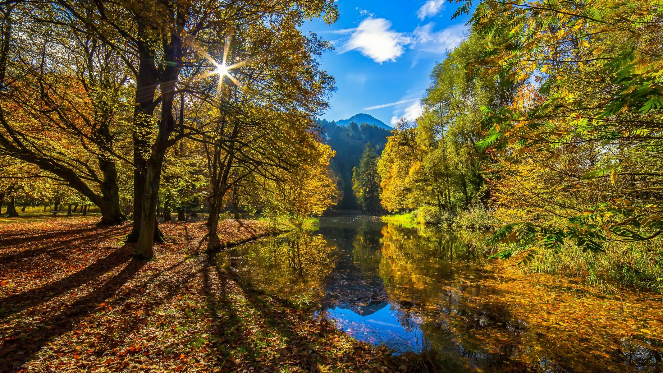 осеннее солнце осень солнце лес речка