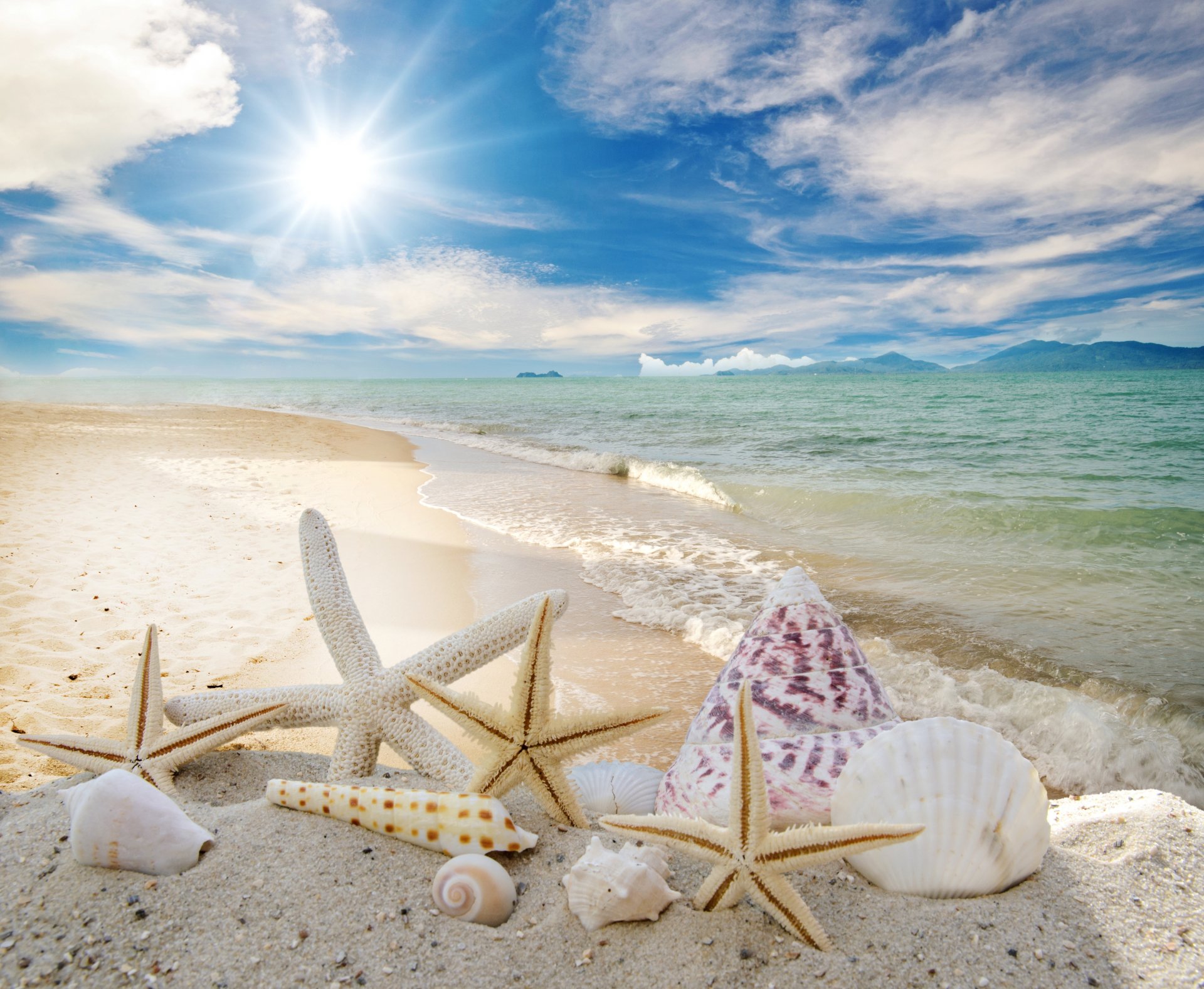 coquillages étoiles de mer plage mer soleil été sable ciel étoiles