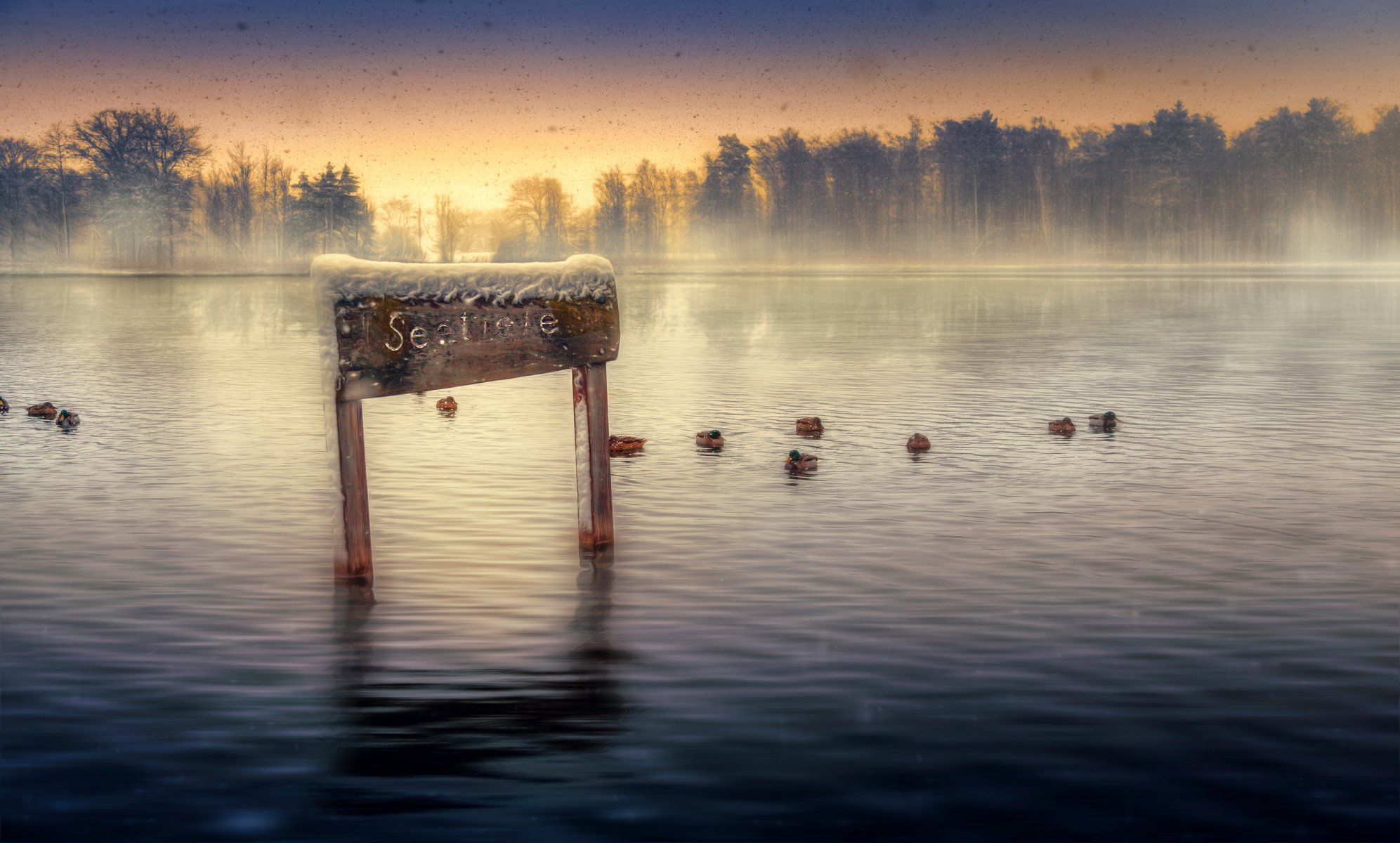 lake ducks snow processing