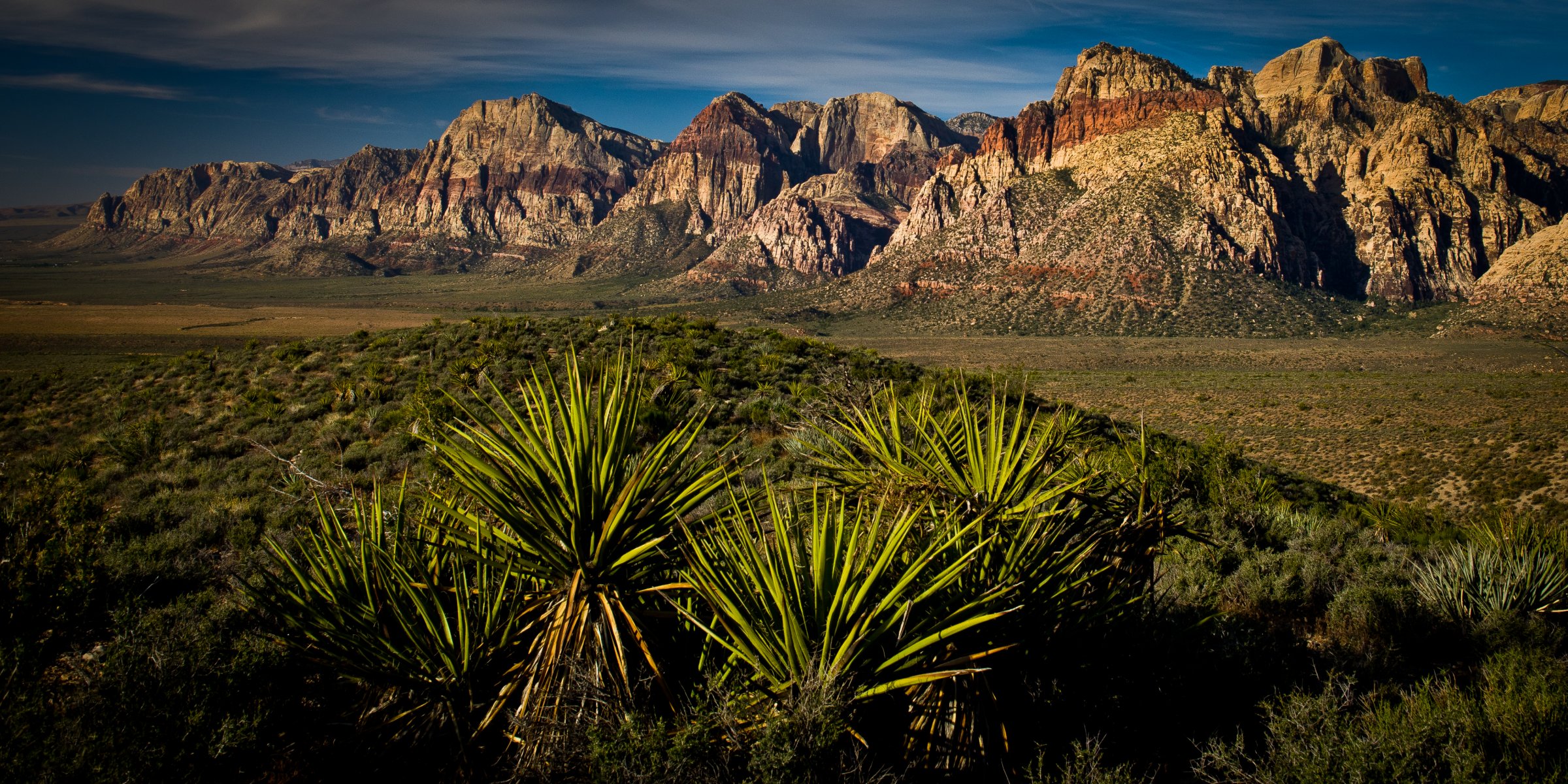 yucca deserto las vegas red rock canyon canyon