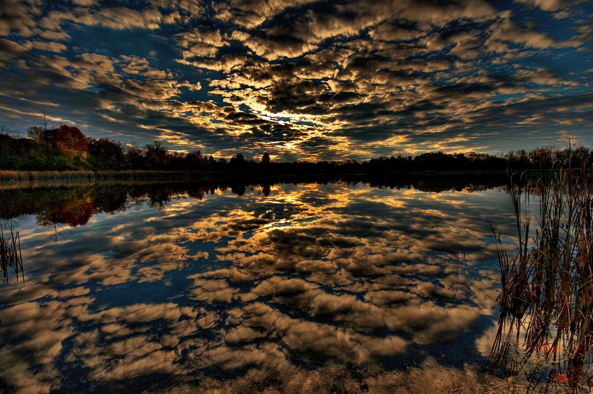 nubes cielo agua bosque reflexión