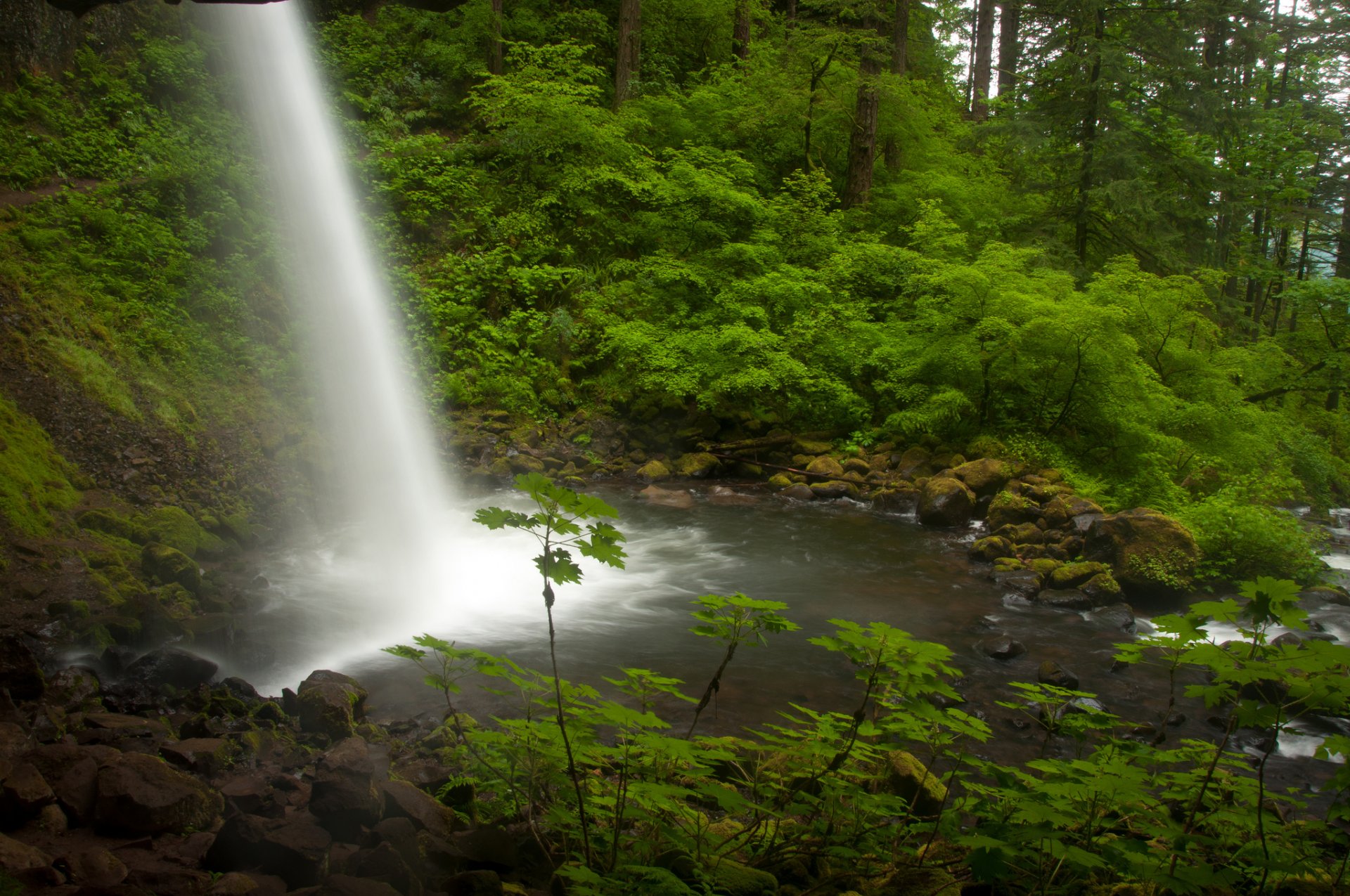 tail falls rzeki columbia oregon rzeka columbia wodospad strumień las