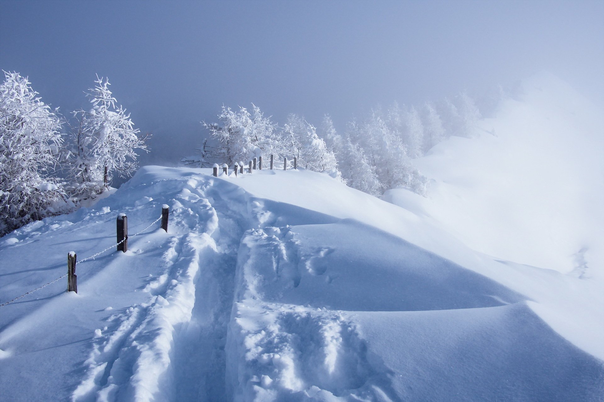 winter snow fence fog