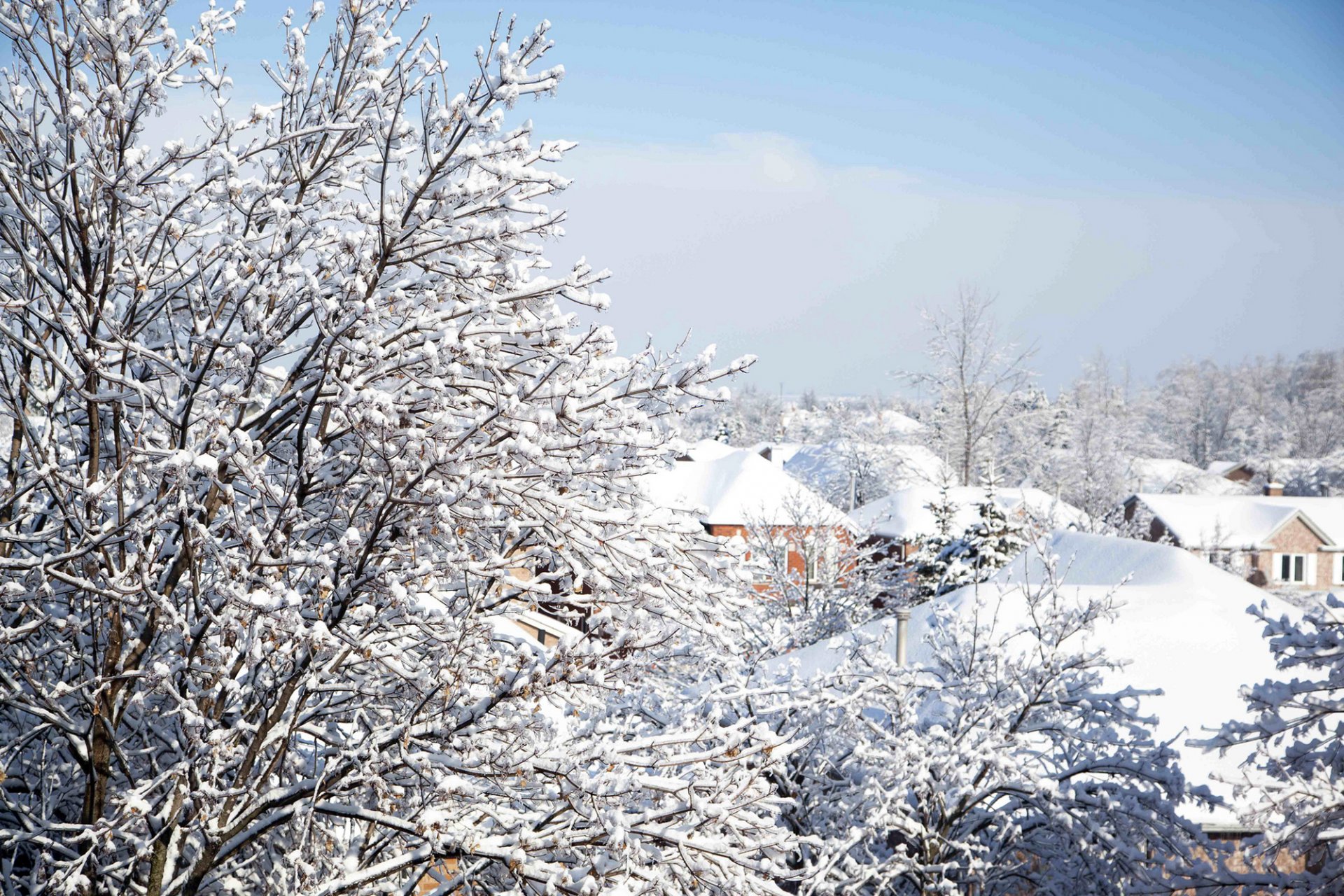 hiver nature arbres branches maisons bâtiments toits neige ciel