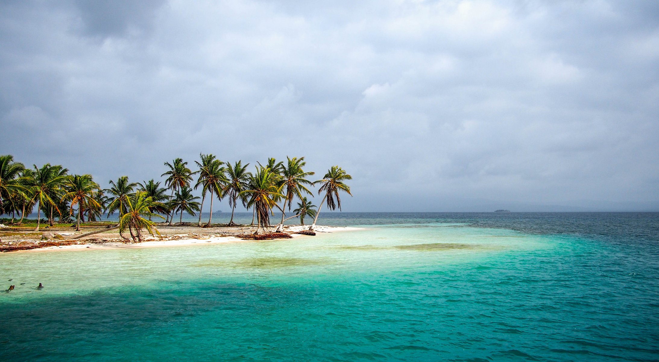 mar costa palmeras trópicos panamá