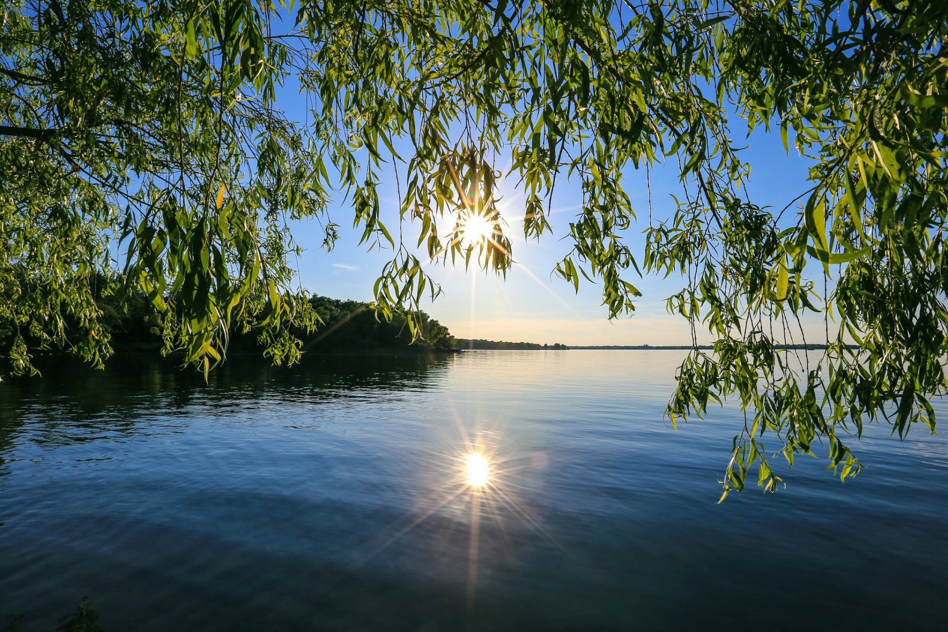 cielo sole tramonto raggi alberi lago stagno riflessione