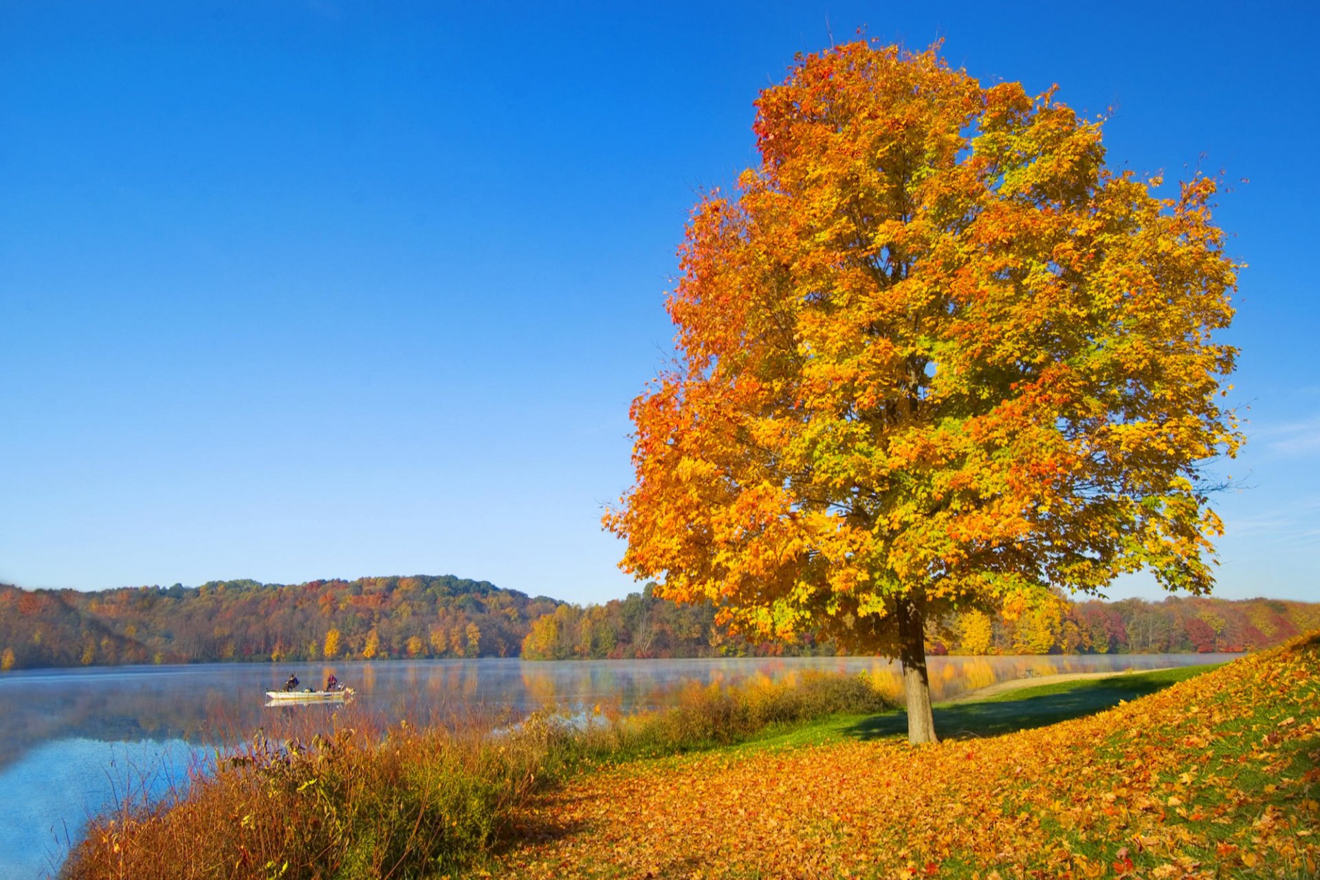 cielo río barco colinas otoño árbol follaje silencio estado de ánimo