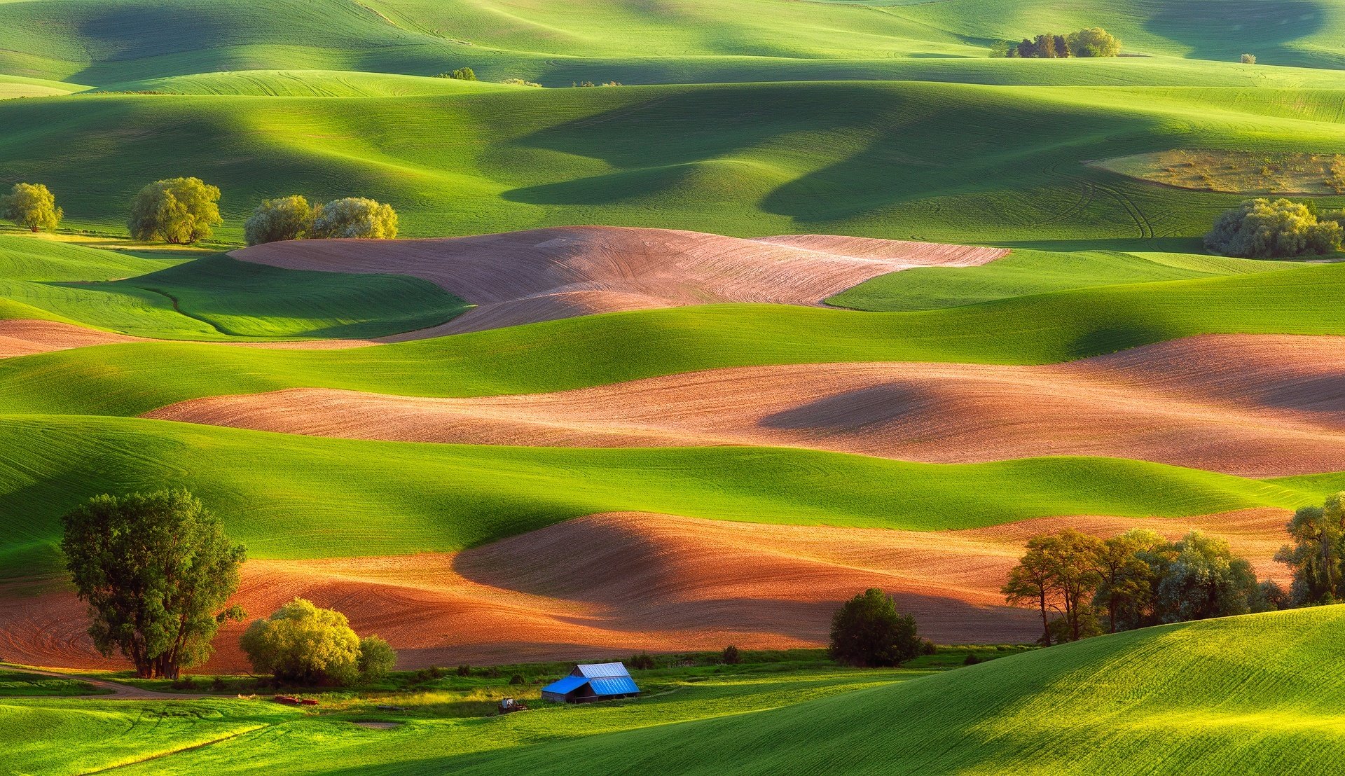 united states steptoe butte state park hills tree house of the field rug