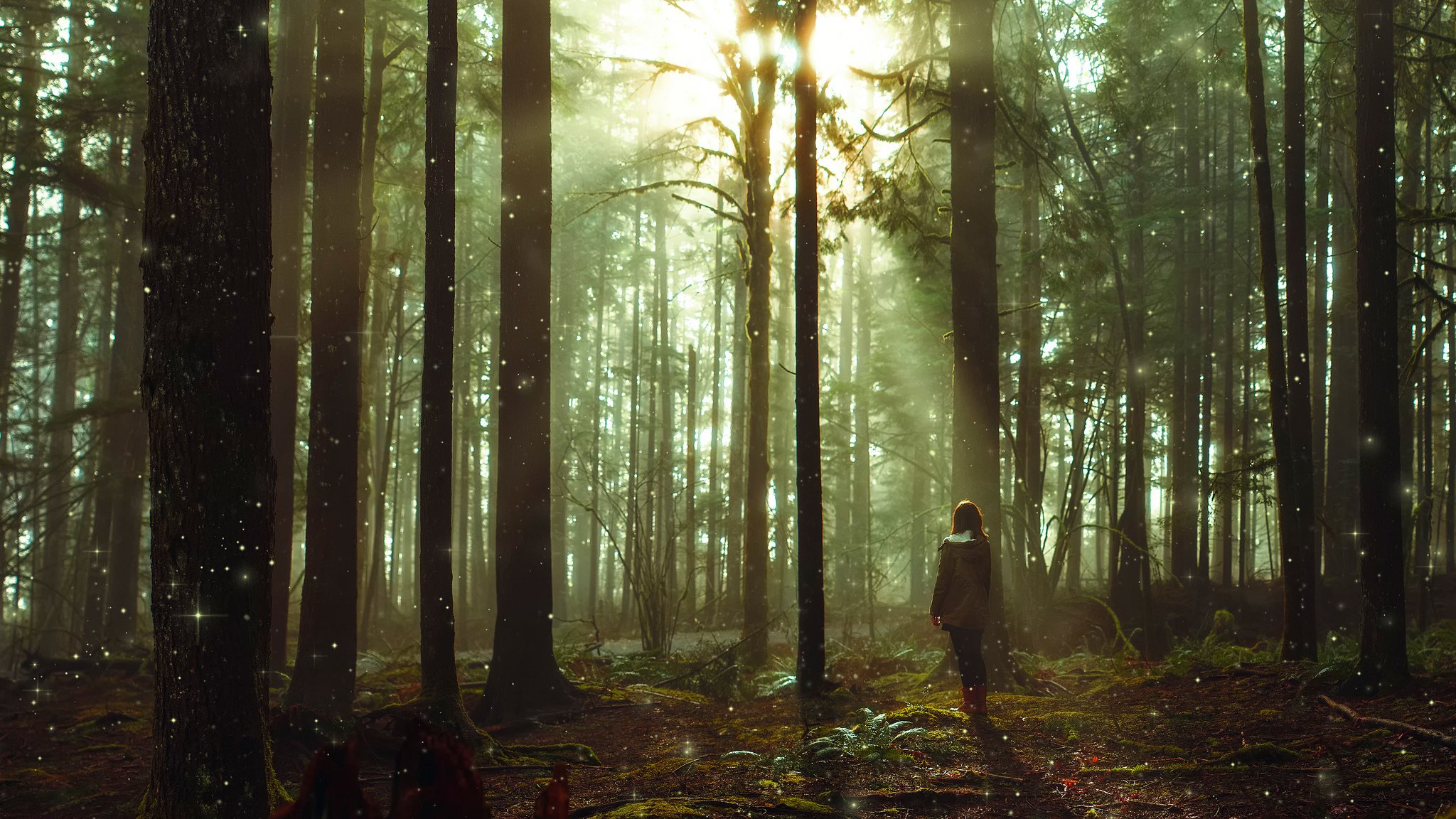 forêt féerique arbres rayons fille art