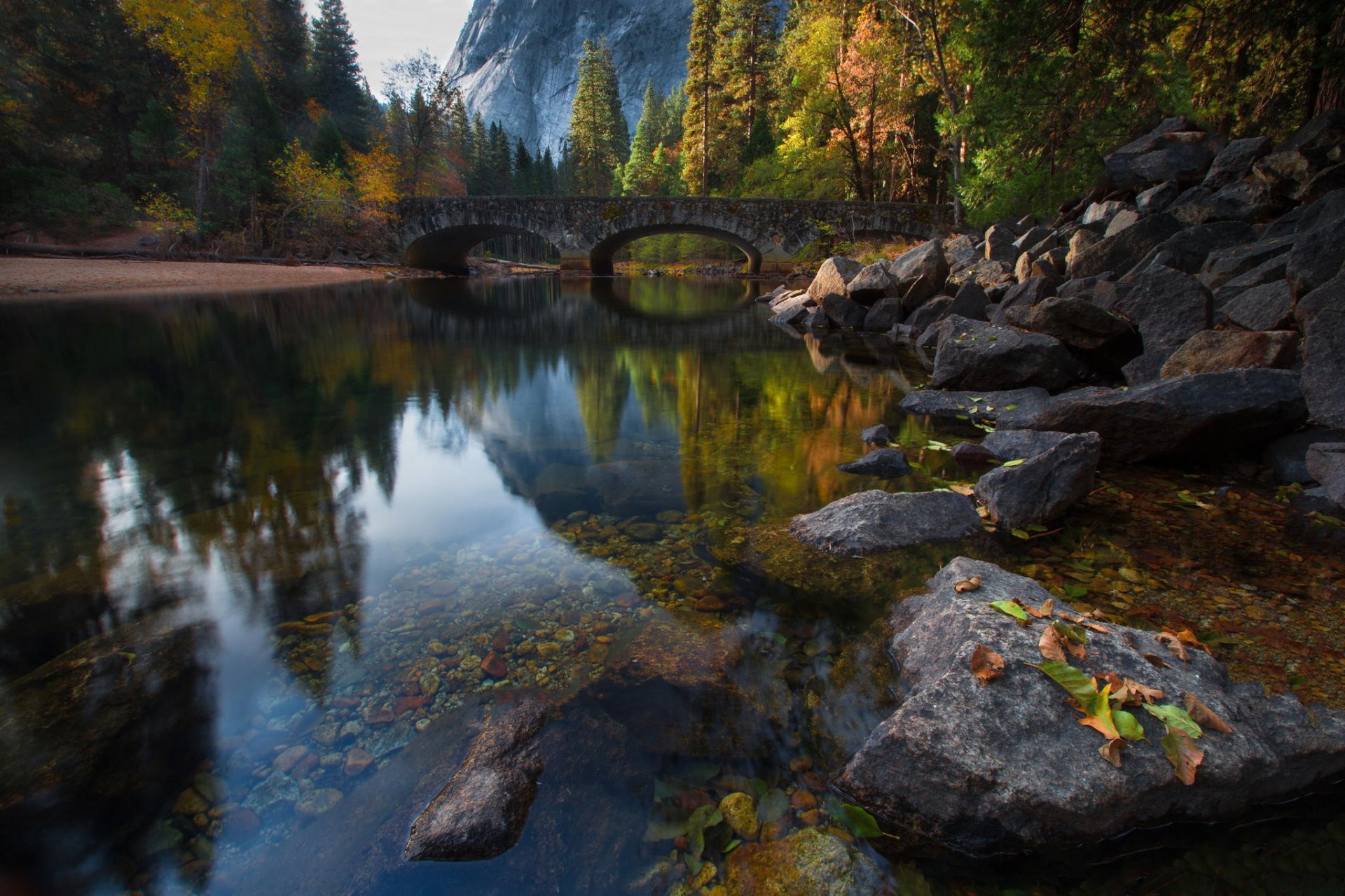 natur fluss brücke bäume wald herbst