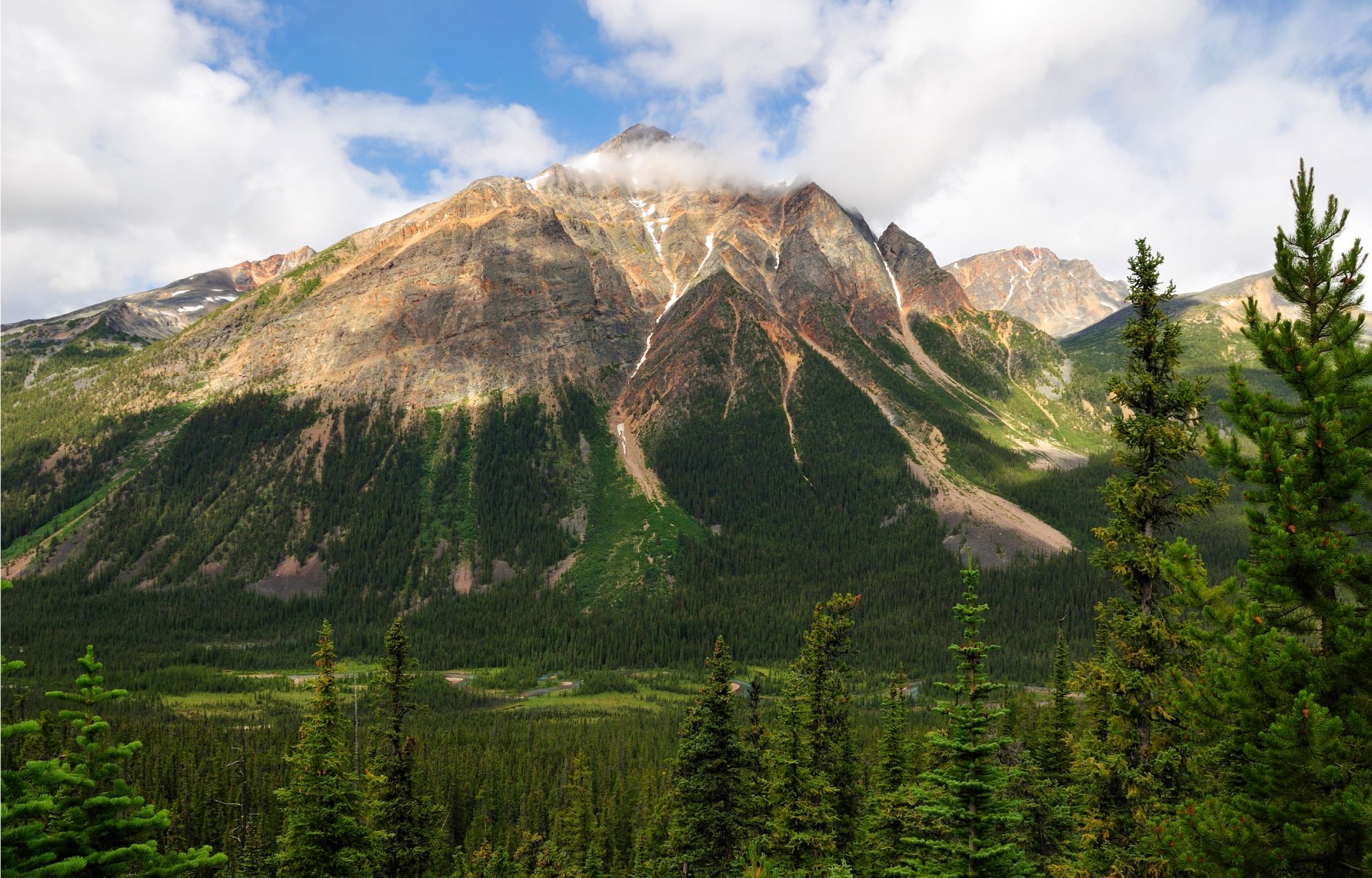 pyramid mountain jasper national park albert canada sky mountain tree