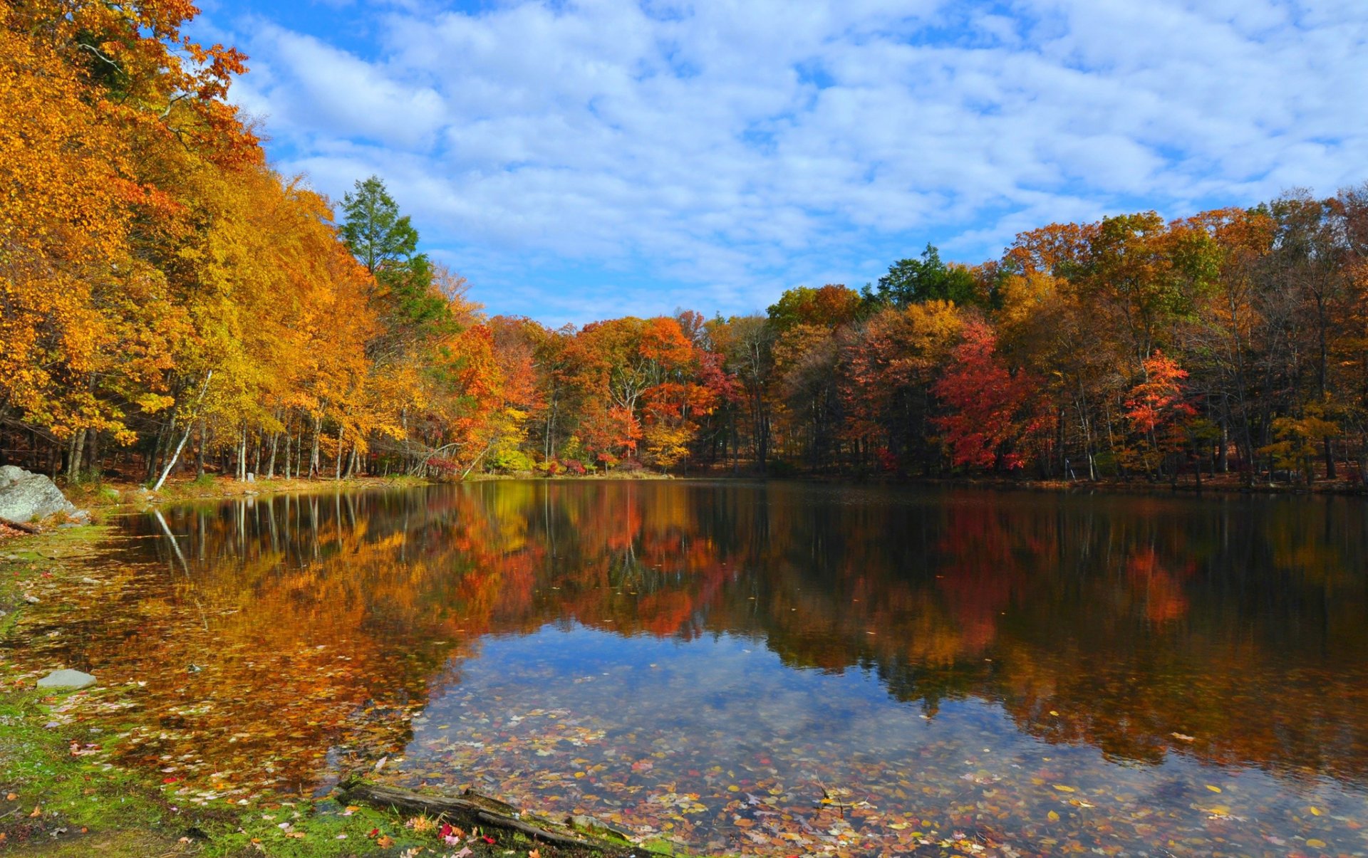 ciel nuages lac forêt automne arbres