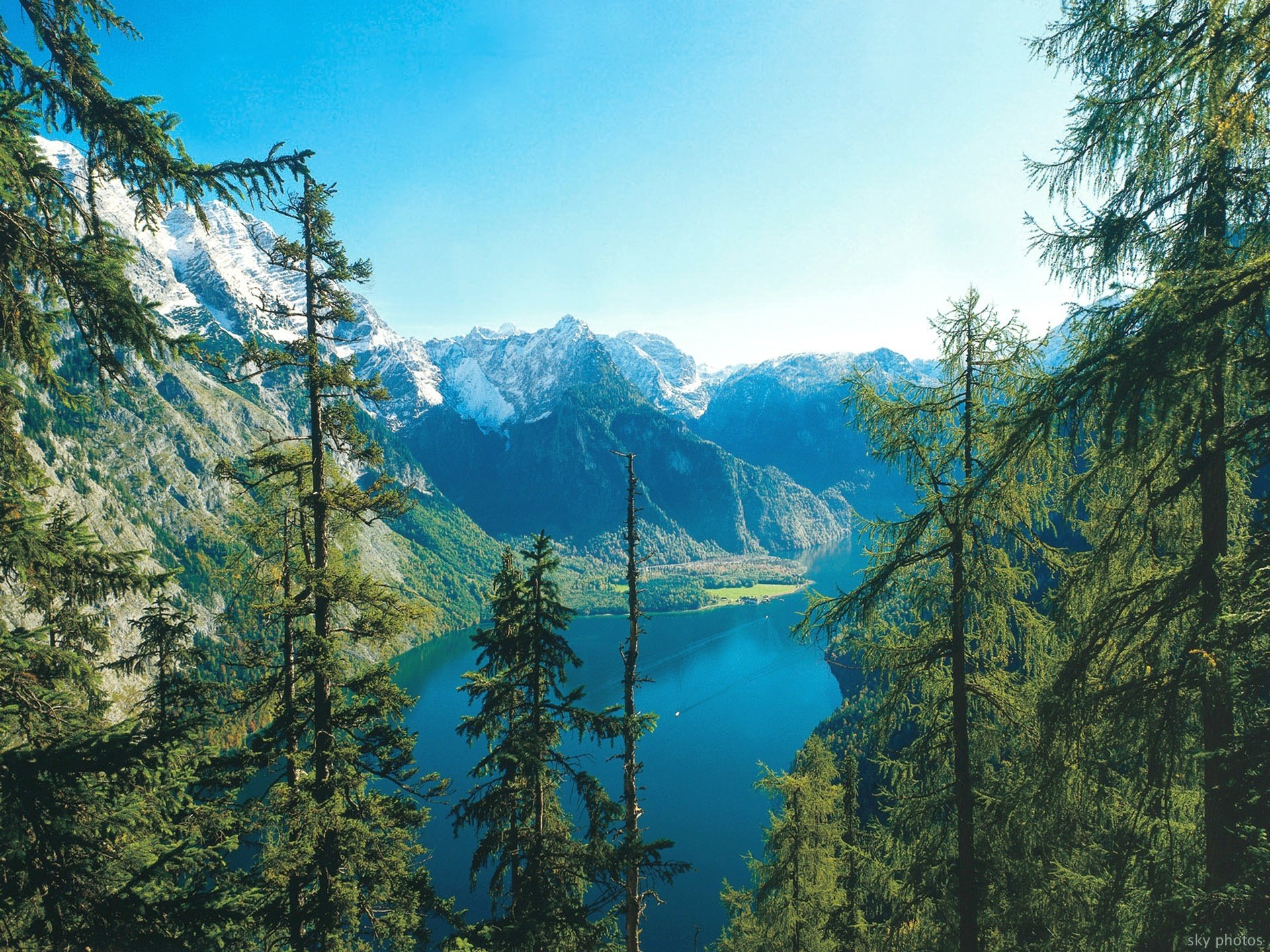 nature forest landscape lake summer sky