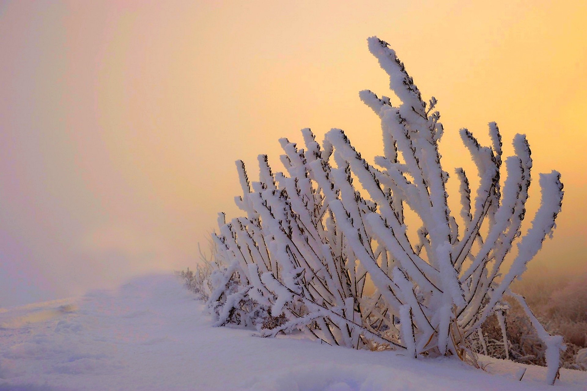 naturaleza invierno nieve cielo paisaje invierno blanco fresco agradable puesta de sol