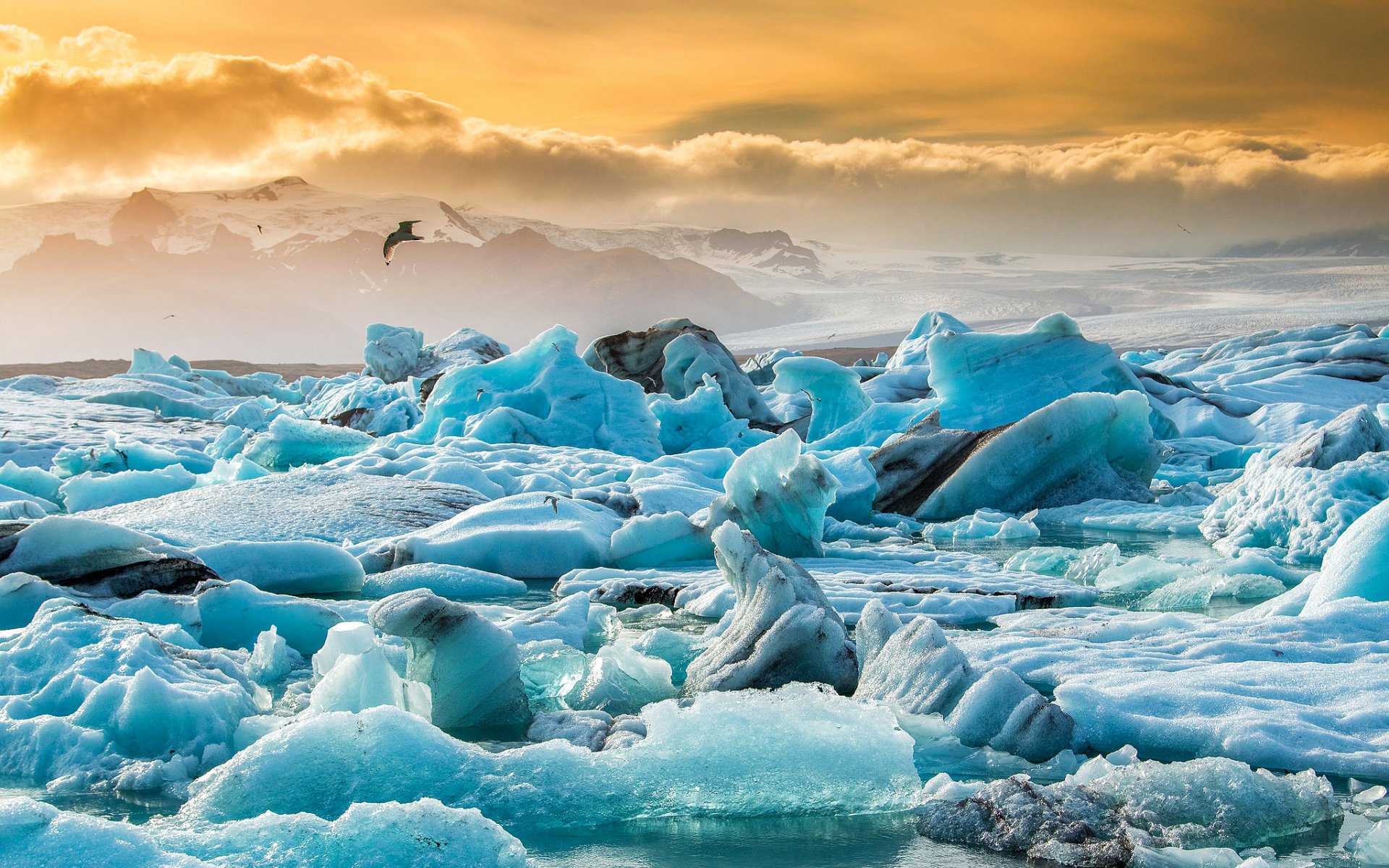 исландия jökulsárlón йёкюльсаурлоун ледниковая лагуна озеро льдины лед снег закат небо птица природа