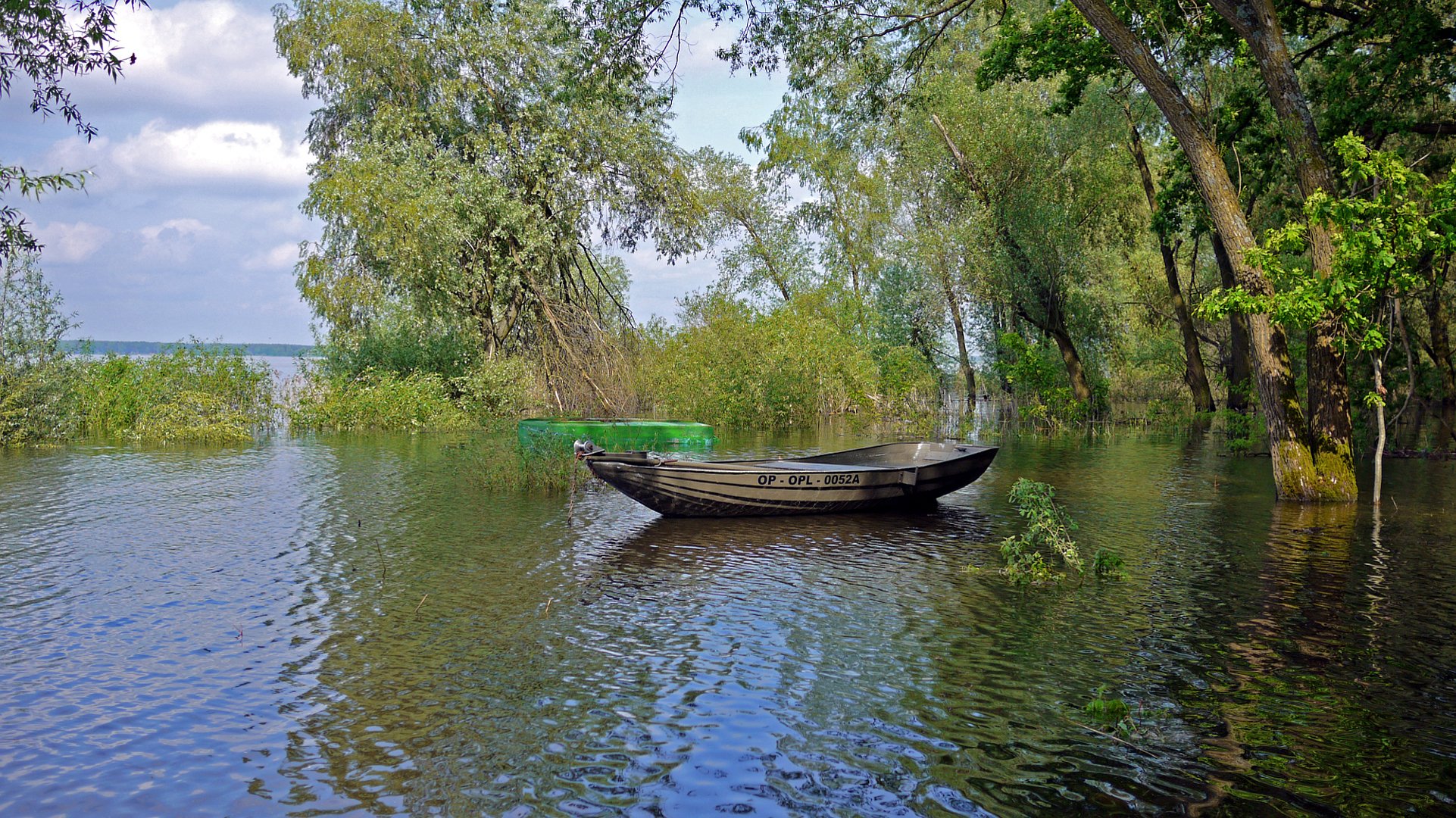 cielo río barco derrame inundación árboles