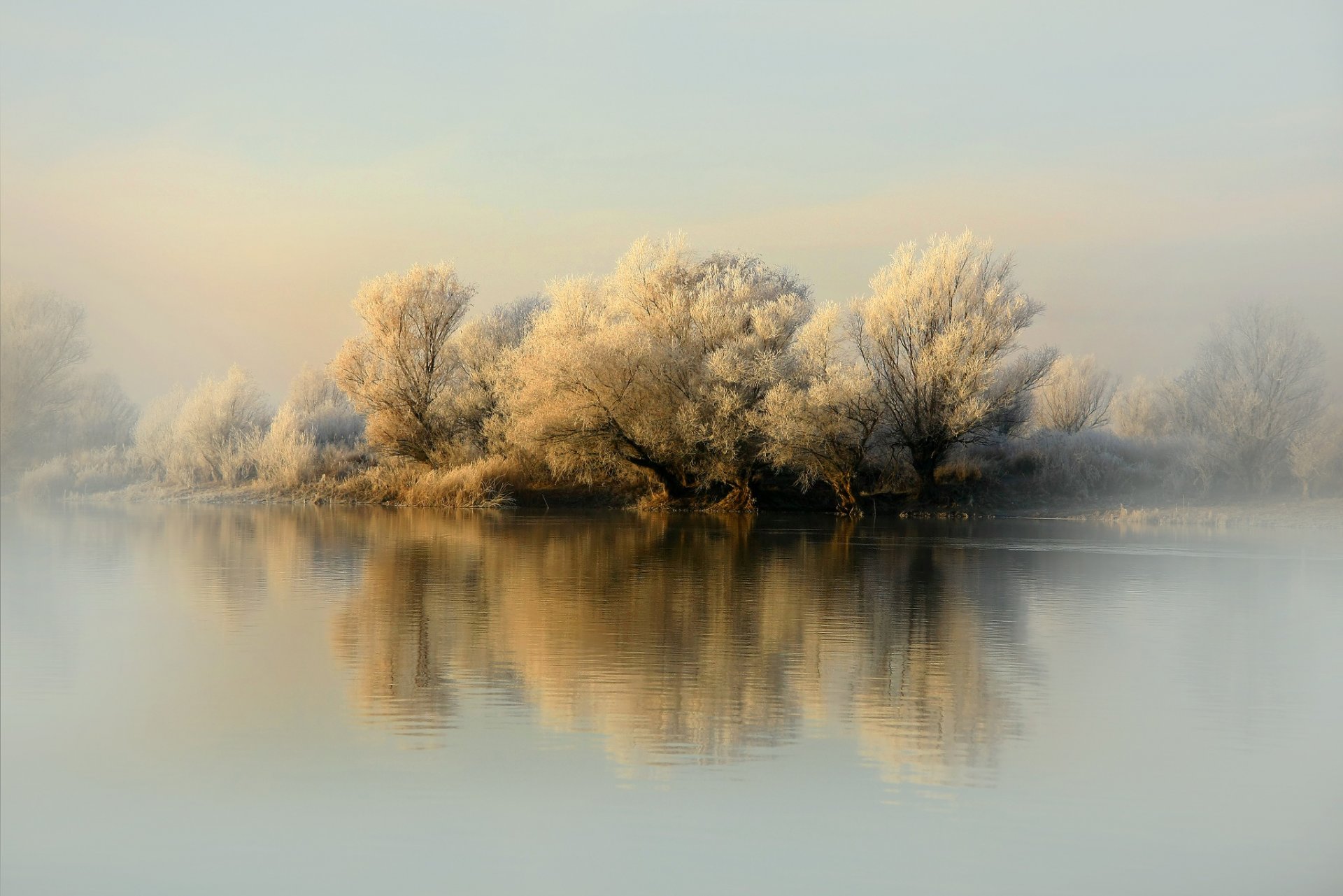 natur winter fluss bäume erster schnee frost