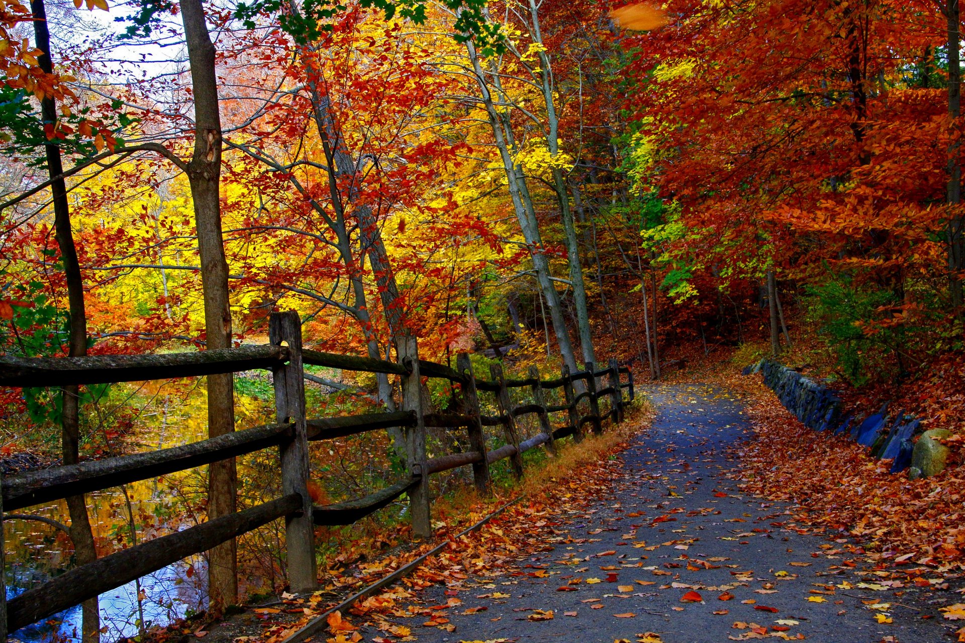 nature landscape forest trees autumn river autumn view park fall